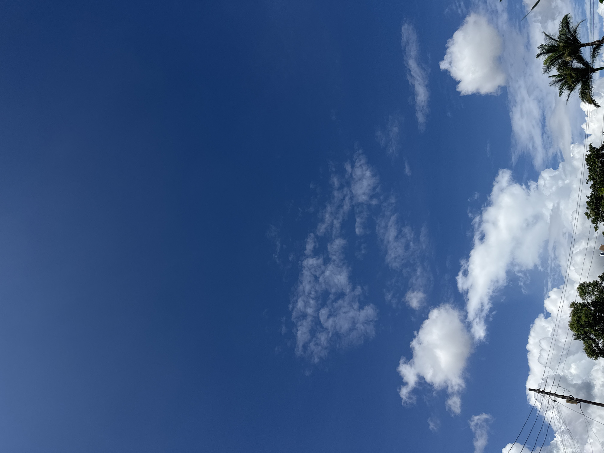 The image depicts a clear blue sky with scattered white clouds. In the lower portion of the frame, the tops of green trees and palm trees are visible, along with a utility pole with wires. The scene suggests an outdoor environment in a location with vegetation. The lighting indicates it is daytime, with the sun high in the sky, casting bright illumination. There are no people or animals visible in the image, nor are there any specific actions or interactions taking place. The overall impression is of a serene, bright day.
