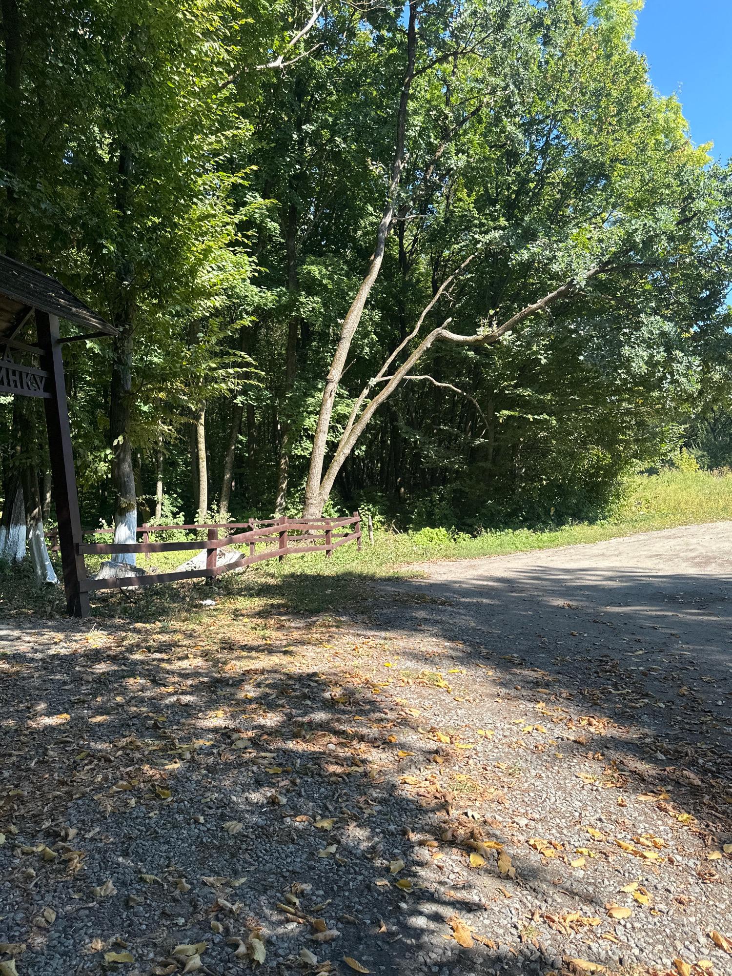 An outdoor scene in Shatava, Ukraine, features a gravel road with scattered fallen leaves in the foreground, partially shaded by trees. To the left, a wooden structure, possibly a gazebo or shelter, is visible, with a brown sign bearing Cyrillic lettering. A low, brown wooden fence runs horizontally across the middle ground, separating the area with the structure from the surrounding woodland. Beyond the fence, dense green trees form a backdrop, with some sunlight filtering through the leaves. A thin, bare tree branch extends diagonally from the upper right towards the center. The overall impression is of a natural, possibly park-like setting on a sunny day.
