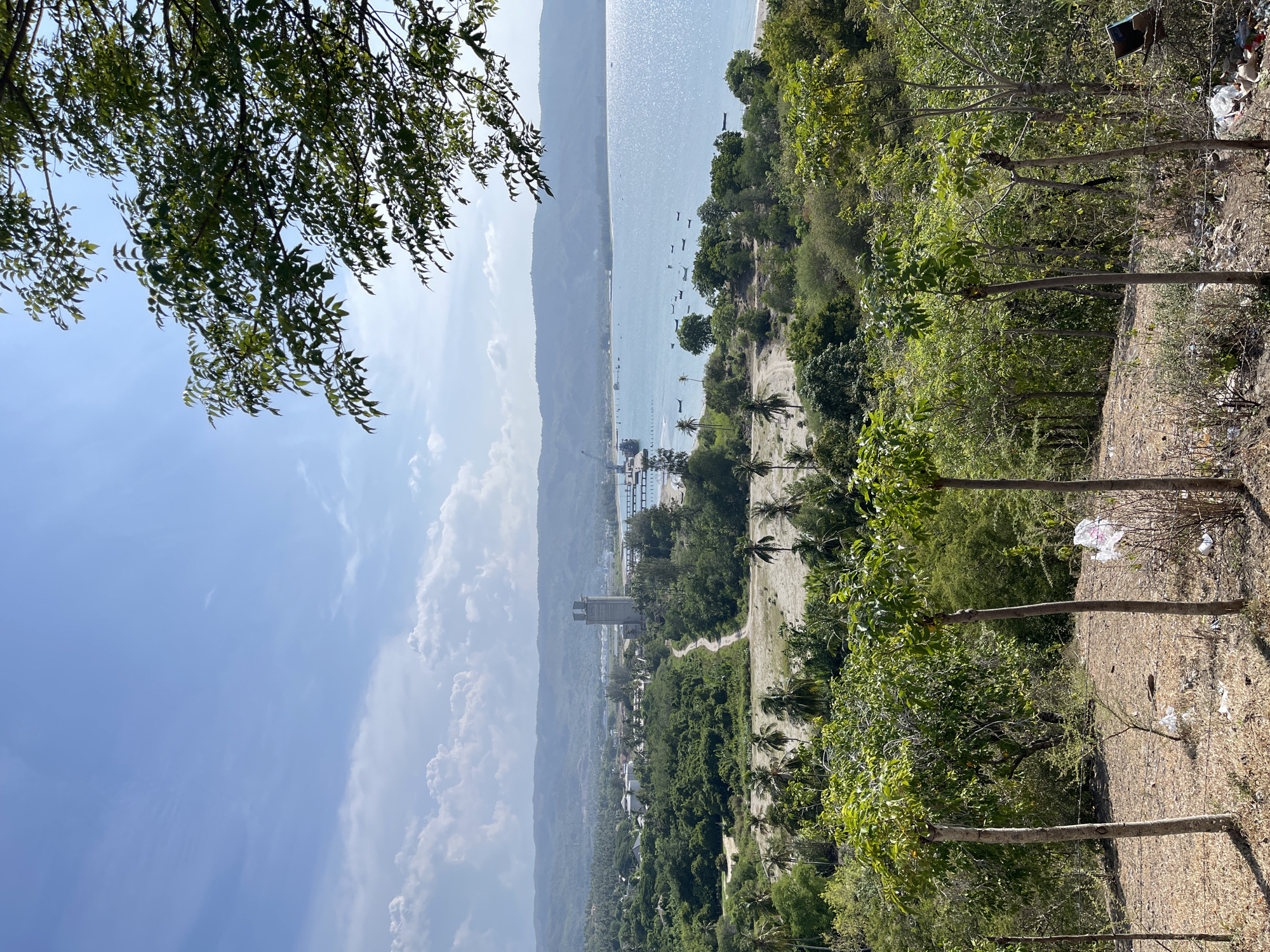 The image captures a scenic panoramic view of the city of Lamreh, Indonesia, from a vantage point overlooking the coastline. In the foreground, several young trees with thin trunks stand in a row, their leaves catching the sunlight. The ground is dry and covered with sparse vegetation and some scattered debris.
Beyond the foreground, a dusty path winds through a landscape dotted with palm trees and dense green foliage. Further in the distance, industrial structures, including a tall concrete tower and a port with cranes and docked ships, are visible along the shoreline. The tranquil, shimmering blue ocean stretches to the horizon, meeting a range of hazy, distant mountains under a partly cloudy sky. Several small boats are scattered across the water. The overall scene depicts a coastal area where natural beauty meets industrial activity.