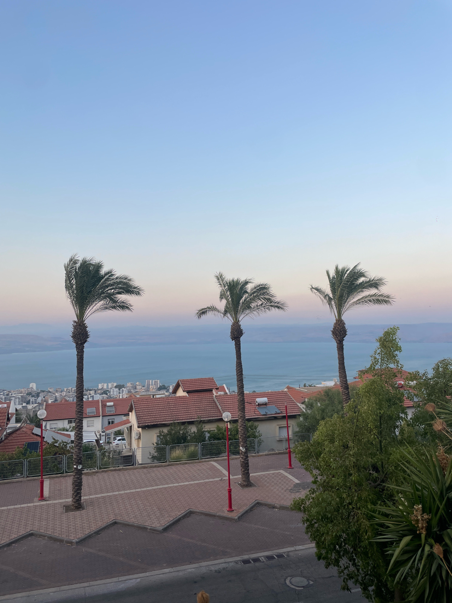 The image is a high-angle, outdoor photograph taken during twilight, likely at sunset or sunrise, overlooking the city of Tiberias, Israel. Three palm trees are prominently featured in the foreground, with their fronds rustling in the wind. In the mid-ground, a residential area with red-tiled roofs is visible, interspersed with greenery. Beyond the city, the Sea of Galilee stretches across the horizon, its waters appearing calm and reflecting the soft light of the sky. The sky itself transitions from a pale blue at the top to hues of pink and lavender near the horizon, indicative of the twilight hour. The overall scene conveys a serene and picturesque view of the city and its natural surroundings. There are no people or animals visible in the frame.