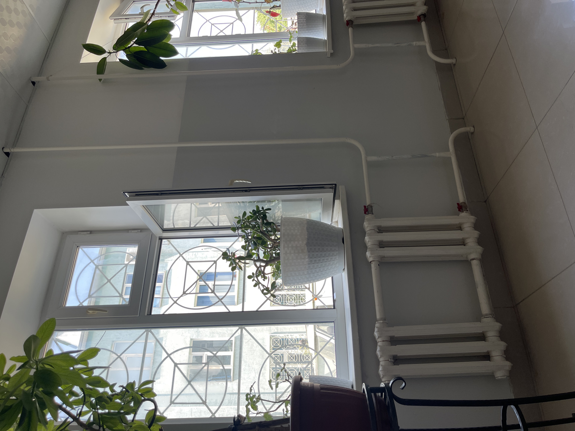The image depicts an interior scene, likely a room with windows. Two white-framed windows are visible, both featuring decorative metal grates. The window on the left is partially open. On the windowsill of this left window, two potted plants are present. One plant, in a brown pot, is partially visible on the far left. The other plant, in a white textured pot, is a jade plant and is centrally located on the windowsill.

The window on the right also has a white frame and a decorative metal grate. On its windowsill, there are several small potted plants, all in white pots.

Below both windows, white radiators are installed along the wall. The radiators are connected by white pipes. The walls are painted in two tones: a lighter shade at the top and a darker gray band near the floor. The floor is tiled with large, square, light-colored tiles.

The exterior view through the windows shows buildings with architectural details, including other windows and patterned facades. The lighting suggests it is daytime, with natural light streaming in.

There are no people visible in the image. The scene is static and appears to be a residential or institutional interior. The presence of radiators and the style of the windows suggest a climate where heating is necessary. The specific location in Batken City, Kyrgyzstan, cannot be determined solely from visual cues in this image, as it does not contain any identifiable landmarks or context specific to that city.