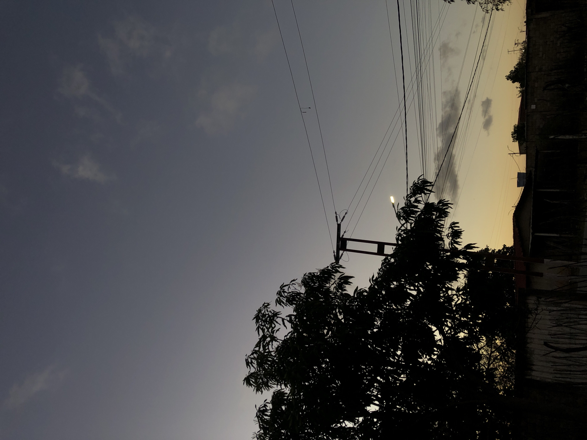 The image depicts an outdoor urban or suburban scene in Altagracia, Venezuela, during either dusk or dawn. The sky displays a gradient, transitioning from a dark blue-grey in the upper portion to a lighter yellow-orange at the horizon. Sparse, faint white cloud wisps are present in the darker sky, while denser, grey clouds are visible closer to the horizon.
In the left foreground and midground, a large, deciduous tree with dense foliage is silhouetted against the sky, obscuring the view below its canopy. Its leaves are discernible, particularly against the brighter lower sky.
A dark utility pole with a cross-arm structure is situated in the midground, partially obscured by the tree. Multiple black power lines extend horizontally across the frame, originating from or passing this pole. A small, light-colored object, consistent with insulation or debris, hangs from one of these power lines in the upper-middle section, shaped like a hook with a spherical end. A faint, crescent-shaped object, possibly the moon, is visible in the sky slightly above the main cluster of power lines.
To the right of the tree and utility pole, additional power lines crisscross the frame. A bright white street light fixture, emitting illumination, is present on the far left, below the main tree canopy. Below the horizon, a series of residential structures are silhouetted. These include a building with a flat roof and a visible blue water tank atop it, along with what appears to be a stone or concrete wall. Other silhouetted vegetation and a secondary utility pole are faintly visible in the background. The immediate foreground shows dark, indistinct ground-level features, possibly fences or low walls. No individuals or discernible actions are present in the frame.
