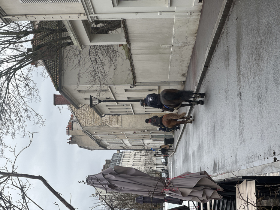 The scene depicts a street in Joinville-le-Pont, France, under an overcast sky on a wet day. Two individuals are riding horses away from the viewer down a wet, asphalt road. The lead rider is on a brown horse, followed by a second rider on a dark brown horse, which wears leg protection. Both riders wear casual outerwear; the second rider's jacket features a visible white emblem on the back.
To the immediate left in the foreground, several large, grey outdoor umbrellas are collapsed and tied, indicating a closed outdoor dining area with stacked chairs and tables partially visible. Bare tree branches extend into the upper left of the frame.
Along the right side of the street, a paved sidewalk runs parallel to a low, light-colored wall, behind which are structures including a multi-story building with a light facade and a visible streetlamp. Further down the street on the right, additional buildings with varying architectural styles, including stone facades and tiled roofs with chimneys, are present.
On the left side of the street, buildings of similar urban construction line the road, with pedestrians visible in the distance. The overall environment is urban, characterized by older European architecture and bare deciduous trees, suggesting a cold season.