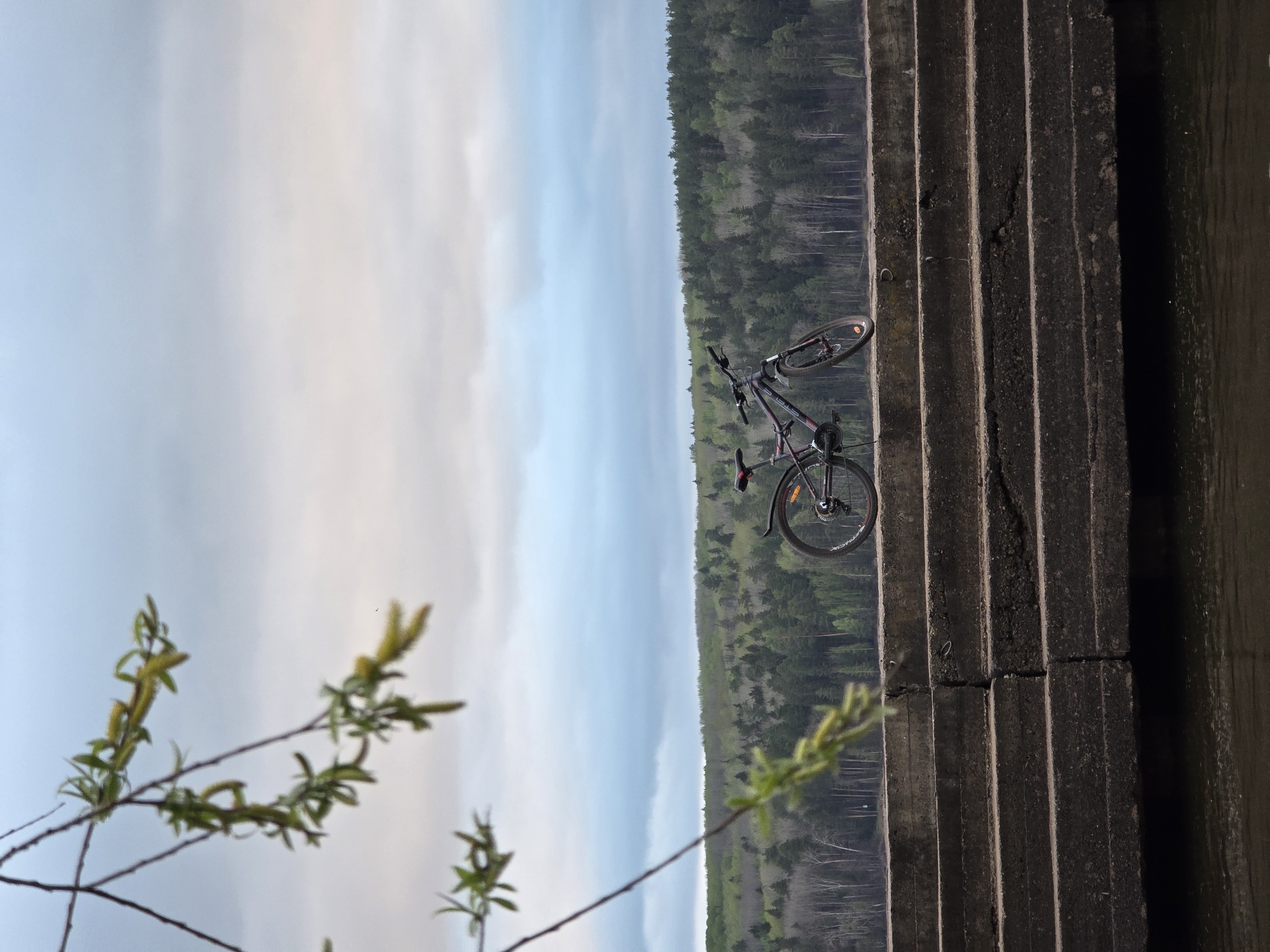 Here's a description of the image:
The image presents a bicycle positioned on a concrete structure that appears to be a series of steps leading down to a body of water. The sky is visible in the background with some tree cover and foliage surrounding the edge of the water. The location is Chaikovsky, Russia.