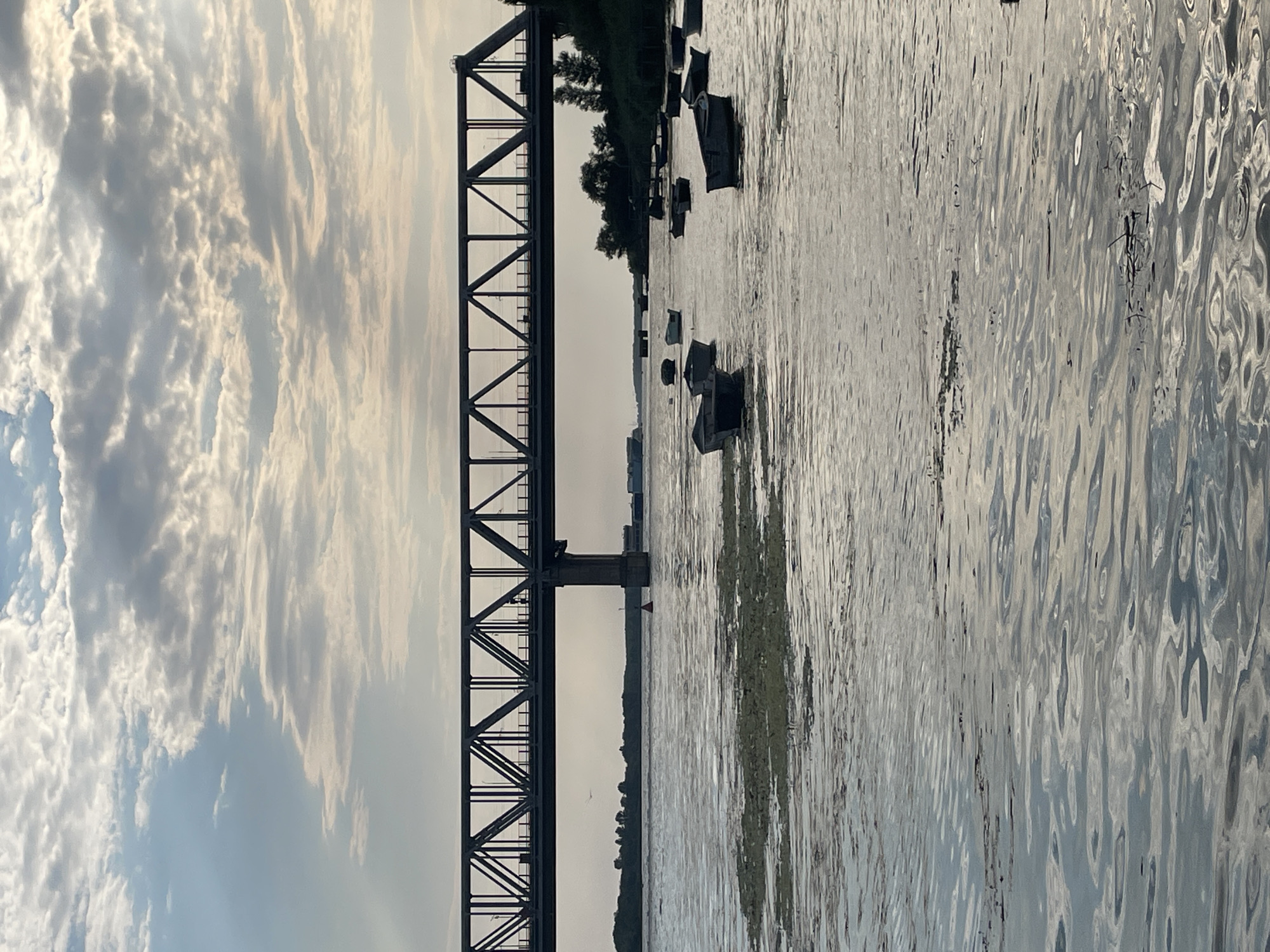 The image depicts a wide river under a cloudy sky, with a large railway bridge spanning across it. Numerous small, dark boats are scattered across the water's surface. In the distance, the riverbank is lined with trees and some structures are visible. The overall scene is overcast and somewhat muted in color. This location is the Don River in Rostov-on-Don, Russia, specifically the area near the railway bridge. There are no people clearly visible in the image.