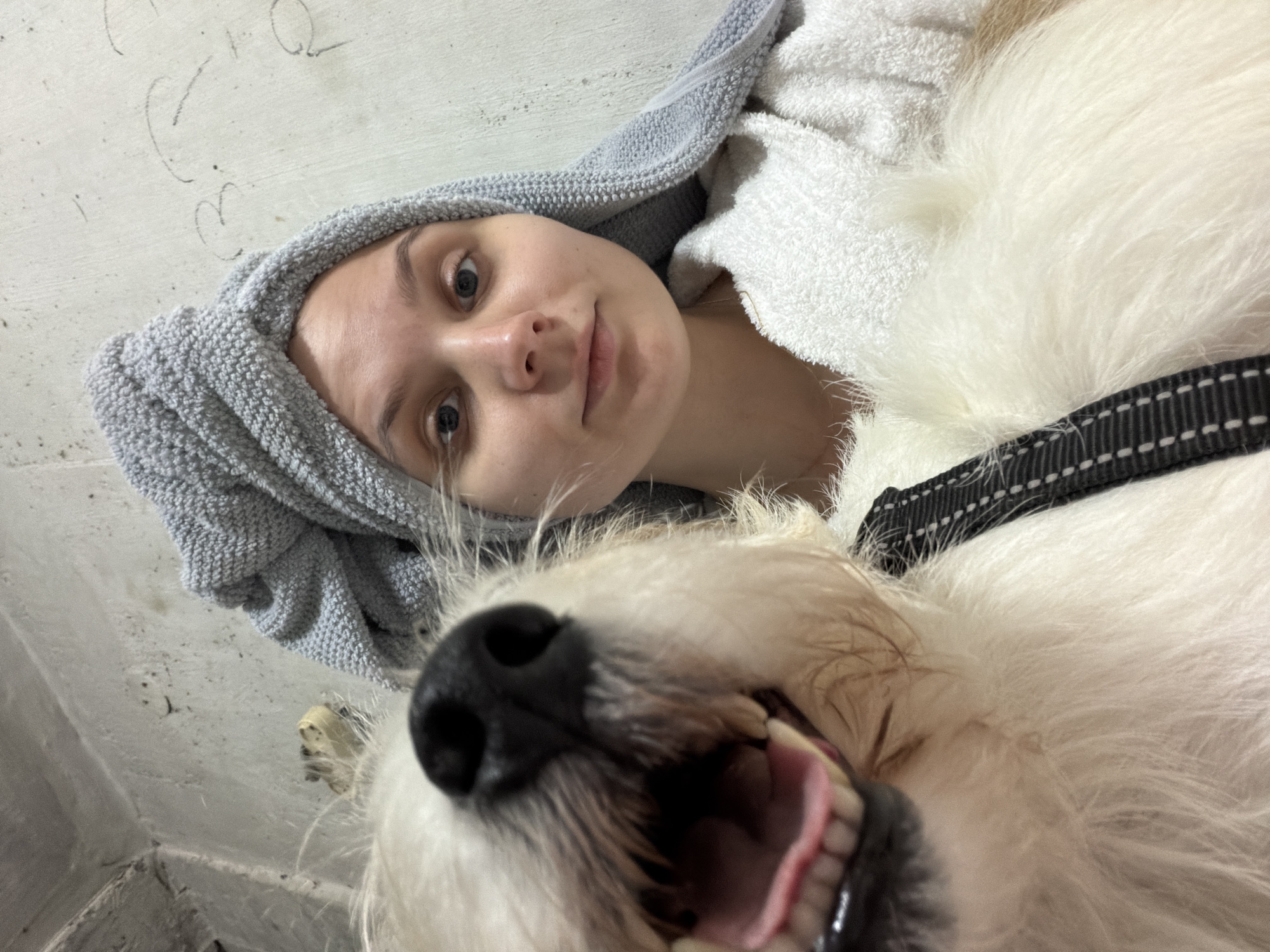 A selfie-style image captures a young adult female and a white fluffy dog. The female, positioned on the right, has fair skin, blue eyes, and light hair wrapped in a grey terry cloth towel turban. She wears a white terry cloth robe or towel and looks directly at the camera with a neutral expression. The dog, a white, long-haired breed, occupies the left foreground, with its head and chest prominent. Its black nose is centered, and its mouth is open, revealing a pink tongue and white teeth. A black strap, possibly from a collar or harness with white stitching, is visible on the dog's chest. The background consists of a light grey or off-white wall with visible texture and minor markings. The scene appears to be an interior location within the city of Unknown, Unknown.