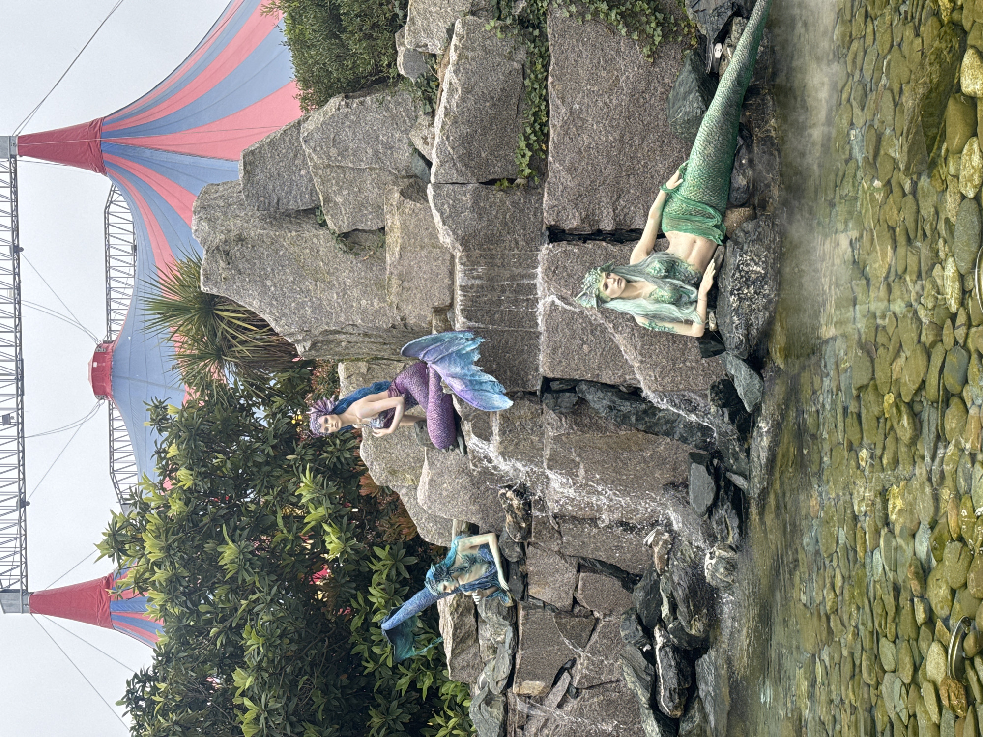 Captured in the city of Sochi, Russia, the photograph depicts a staged tableau featuring three mermaid statues. The mermaids are arranged on an artificial rock formation complete with a small, constructed waterfall cascading into a shallow pond filled with light-colored stones. The mermaid nearest to the pond’s edge is dressed in green, the second mermaid in purple, and the third in blue. In the background, partially obscured by foliage, the red and blue top of a circus tent is visible, suggesting the location is near an entertainment or amusement park.