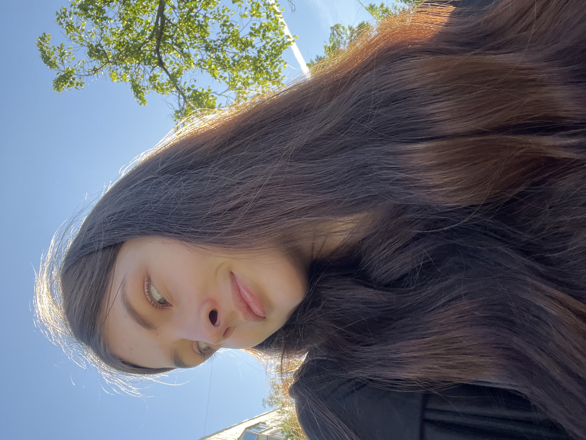 The image is a low-angle, rotated close-up of a young woman's face and long, dark brown hair, set against a bright blue sky. Her hair is wavy, with individual strands illuminated by direct sunlight, creating a golden highlight along the top and left side of her head. Due to the image's rotation and angle, she appears to be looking upwards. Her right eye is clearly visible, while her left eye is mostly obscured by her hair. A portion of her nose is seen, and her mouth is slightly open, with her tongue peeking out. Her expression is neutral, possibly with a hint of playfulness.
In the upper left quadrant of the background, green tree foliage with distinct leaves and branches is visible against the clear sky. A faint white contrail or cloud streak is present in the upper mid-background. A small section of a light-colored building or structure with windows can be glimpsed in the lower right corner. The scene is outdoors on a bright, sunny day with a clear blue sky, indicating strong daylight. There is no visible text in the image.
