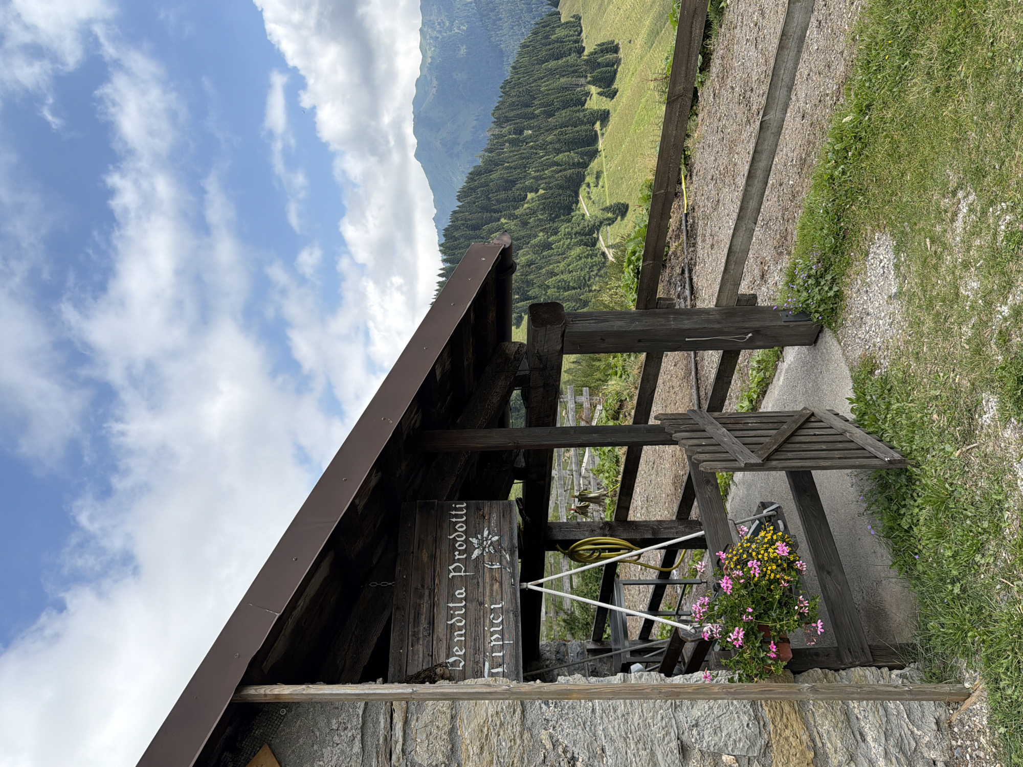 A rustic wooden sign hangs from the dark brown eaves of a small, stone and wood building. The sign, written in white gothic script, reads "Vendita Prodotti Tipici," which translates to "Sale of Typical Products." Below the text, a stylized white edelweiss flower is painted. A hanging basket filled with pink and yellow flowers is suspended from the eaves near the sign, next to a yellow hose. A dark wooden gate, partially ajar, leads into the building's sheltered area. The building itself is constructed with rough, grey stone on the left and weathered wood on the right. Beyond the gate, a graveled path leads further into the property.
The scene is set against a backdrop of rolling green hills covered in dense evergreen trees. A winding path can be seen ascending the hillside. In the distance, majestic mountains rise under a partly cloudy blue sky. The ground in front of the building is covered in grass and scattered stones. The overall atmosphere suggests a small, rural establishment in a mountainous region, likely in the Italian Alps, given the signage and landscape. The location is specified as Raveo / Raviei, Italy. There are no people visible in the image.
