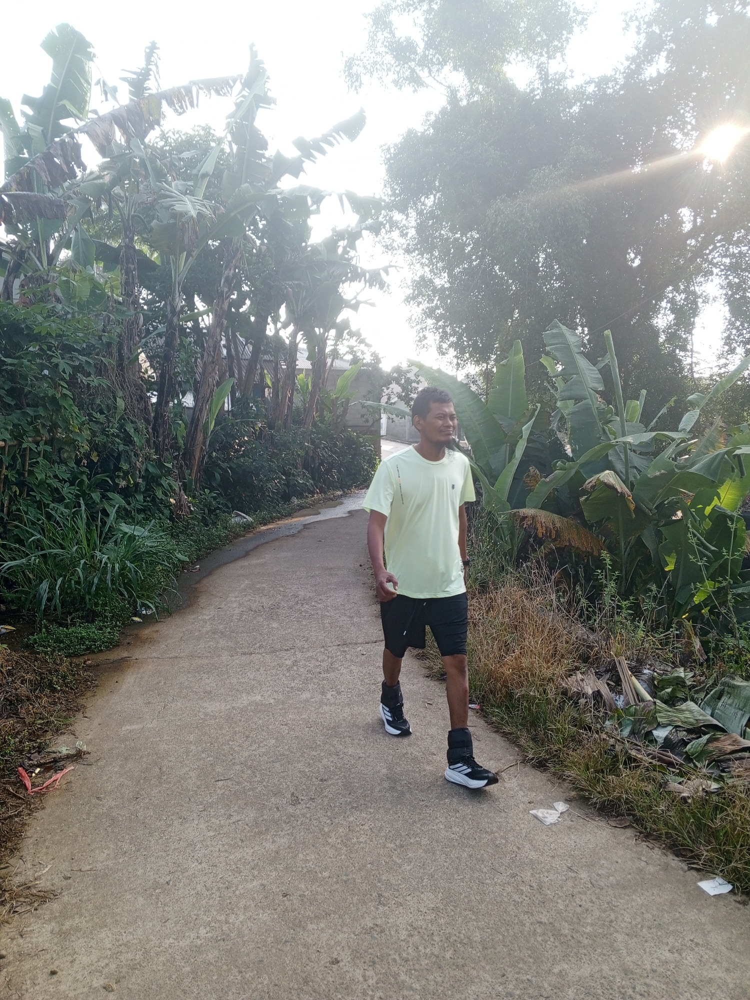 A man is depicted walking on a paved path in a lush, tropical environment in Weddagala, Sri Lanka. He is positioned slightly off-center to the right, walking towards the viewer with his body angled slightly to his left. He is wearing a light yellow-green t-shirt, black shorts, and black and white athletic shoes, possibly with ankle weights or thick socks. The man has short, dark hair and is looking towards his left (our right) with a relaxed expression or a faint smile.
The path is made of concrete and appears to curve gently to the left. It is bordered by dense green vegetation on both sides. Tall banana trees with large leaves are prominent, especially on the left side of the path, creating a verdant backdrop. Other leafy plants and overgrown grass can be seen along the edges of the path. The sun is shining brightly from the upper right of the frame, creating a strong lens flare and illuminating the scene. The time of day appears to be early morning or late afternoon due to the strong, angled sunlight. The weather is clear and sunny. No specific text is clearly visible on his shirt, but the Adidas logo is discernible on the side of his right shoe. The scene conveys a sense of peaceful activity amidst nature.