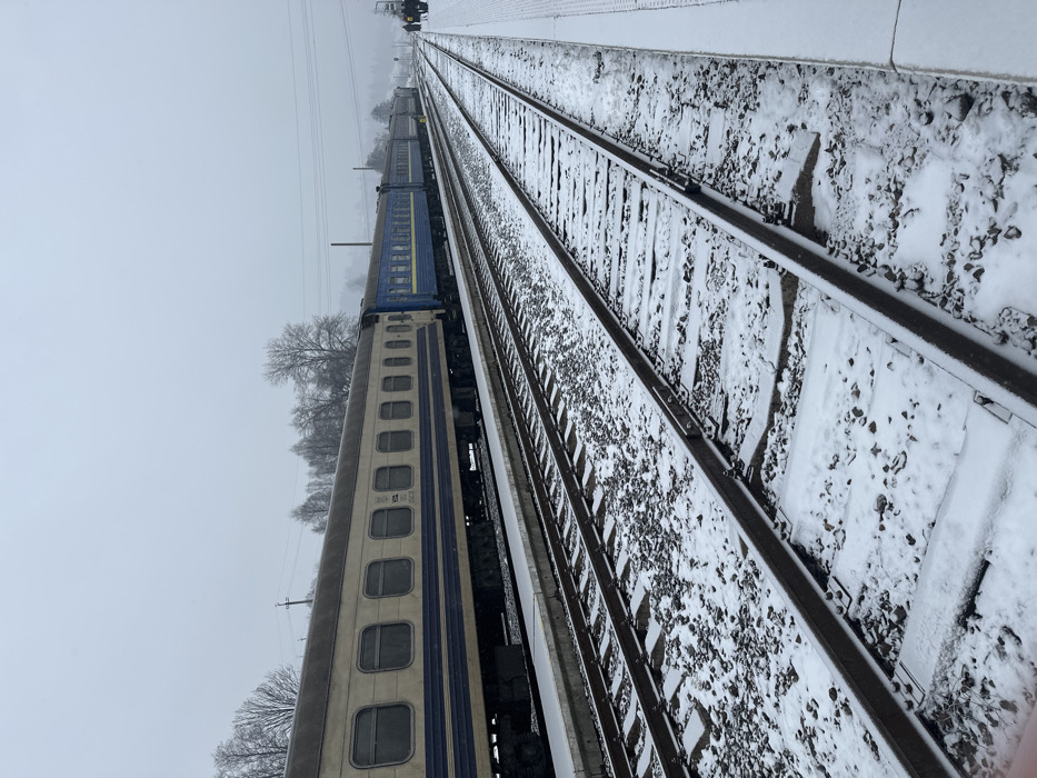 This overhead shot depicts a snow-covered railway scene in Yasinya, Ukraine, on an overcast winter day. The perspective is elevated, looking down along multiple sets of train tracks that recede into the distance.
In the foreground and extending towards the mid-ground on the left, two stationary train cars are visible on one set of tracks. The car closest to the viewer is a light beige or cream color with horizontal blue stripes along its lower section and multiple rectangular windows. Faint text, including "05" and "61", is partially visible on its side. Behind this car, a blue train car with distinctive yellow accents along its roofline is coupled.
The railway tracks, sleepers, and surrounding ballast are blanketed in a layer of fresh snow, interspersed with dark gravel. Overhead power lines are visible running parallel to the tracks, indicating an electrified railway. The sky is a uniform, bright grey, characteristic of heavily overcast winter weather, and the air appears hazy. Bare trees line the left side of the tracks in the mid-ground, their branches dusted with snow. In the far distance, faint outlines of what appear to be railway signals or other structures can be discerned. No people are visible in the scene, conveying a sense of quiet and solitude amidst the cold, snowy environment.