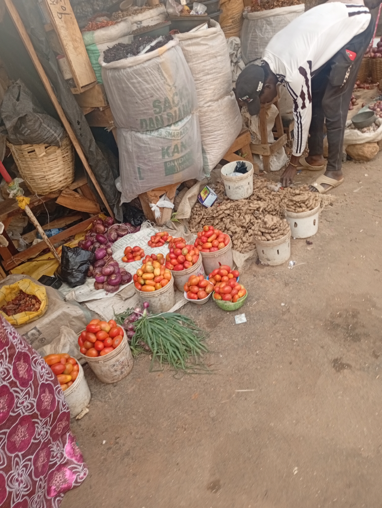 In a bustling outdoor market in Rafin Par, Nigeria, a man in a white long-sleeved shirt and black pants, wearing a black baseball cap, is bending down to pick up something from the ground. He is standing on a dirt ground, surrounded by various produce and sacks. To his left, there are large sacks filled with grains or beans, and a woven basket. In front of him and to his right, an abundance of fresh produce is displayed. Several buckets are overflowing with ripe red tomatoes, and some are filled with elongated yellow tomatoes. Bunches of green onions are also visible. Nearby, piles of ginger are sorted into buckets, and a collection of red onions are neatly arranged on a cloth. The scene suggests a typical market day, likely in the morning or afternoon, given the natural lighting. The overall atmosphere appears to be one of commerce and everyday life, with no clear indication of emotion beyond the focused action of the man. The sacks in the background show some visible text, including "SACK DAN DIAN" and "KAN."