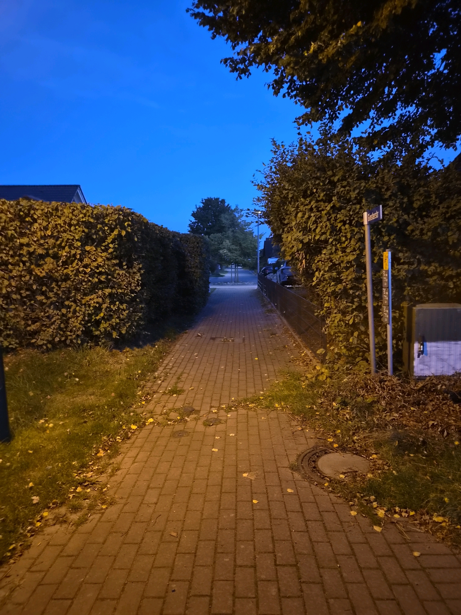The image depicts a pathway paved with light brown bricks, leading into the distance under a deep blue twilight sky. The pathway is flanked by dense, dark green hedges on both sides. Fallen yellow leaves are scattered across the path and the adjacent grassy areas. On the right side of the path, a metal street sign is visible, attached to a pole, with the text "Gunstestr" clearly legible in white lettering. Below the street sign, a metal utility box or cabinet stands on the ground. In the background, trees and residential buildings can be seen. The scene appears to be a quiet residential street in Schiffdorf, Germany, at dusk.