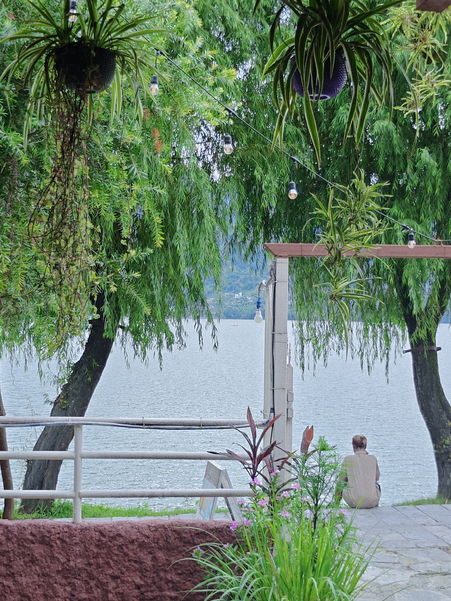 This is a medium-shot, eye-level outdoor photograph of a serene lakeside scene in Pokhara, Nepal. The foreground features lush green foliage, including hanging plants from what appears to be a covered seating area or restaurant, and potted plants. A metal railing is visible, separating the foreground from the water. In the mid-ground, a person is seated on a stone pathway, facing away from the camera, looking out at the calm, greyish-blue lake. The person is wearing a light brown or beige long-sleeved shirt and pants, and has short, light-colored hair. Behind the person, the water stretches to the horizon where a distant, hazy shoreline with some buildings and trees is visible under an overcast sky. The overall atmosphere is peaceful and tranquil, suggesting a quiet moment of contemplation by the lake.