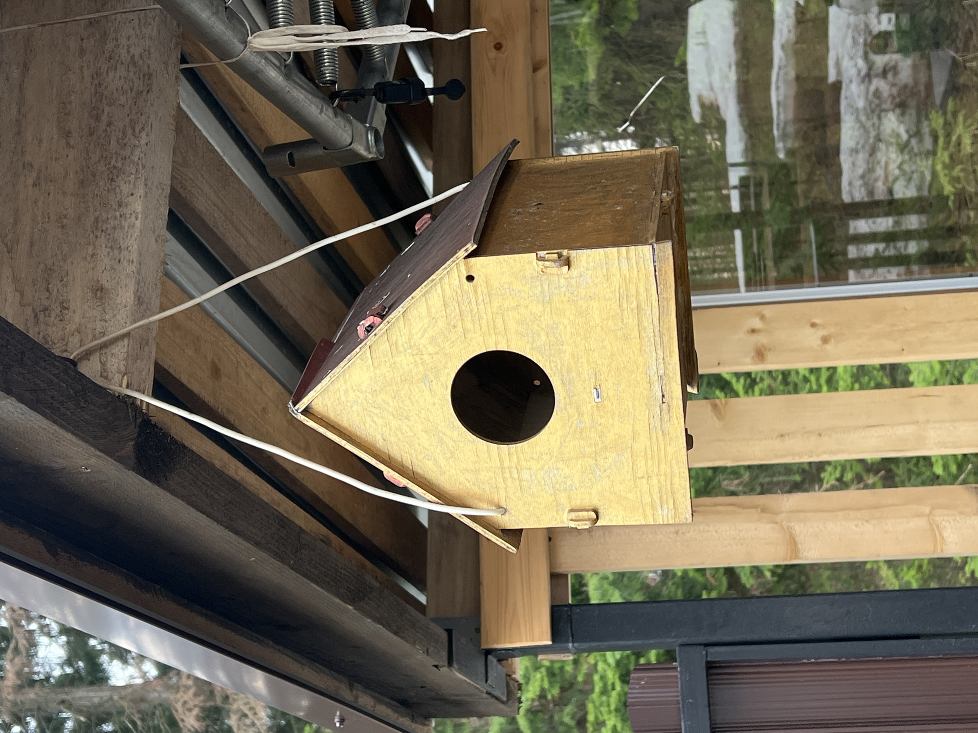 The image shows a wooden birdhouse with a circular entrance hole, hanging from a structure with wooden beams and metal supports. The birdhouse is painted yellow with a red roof. It is suspended by a white string. The background shows a blurred view of trees and a building with windows. The location is Protasy, Russia.