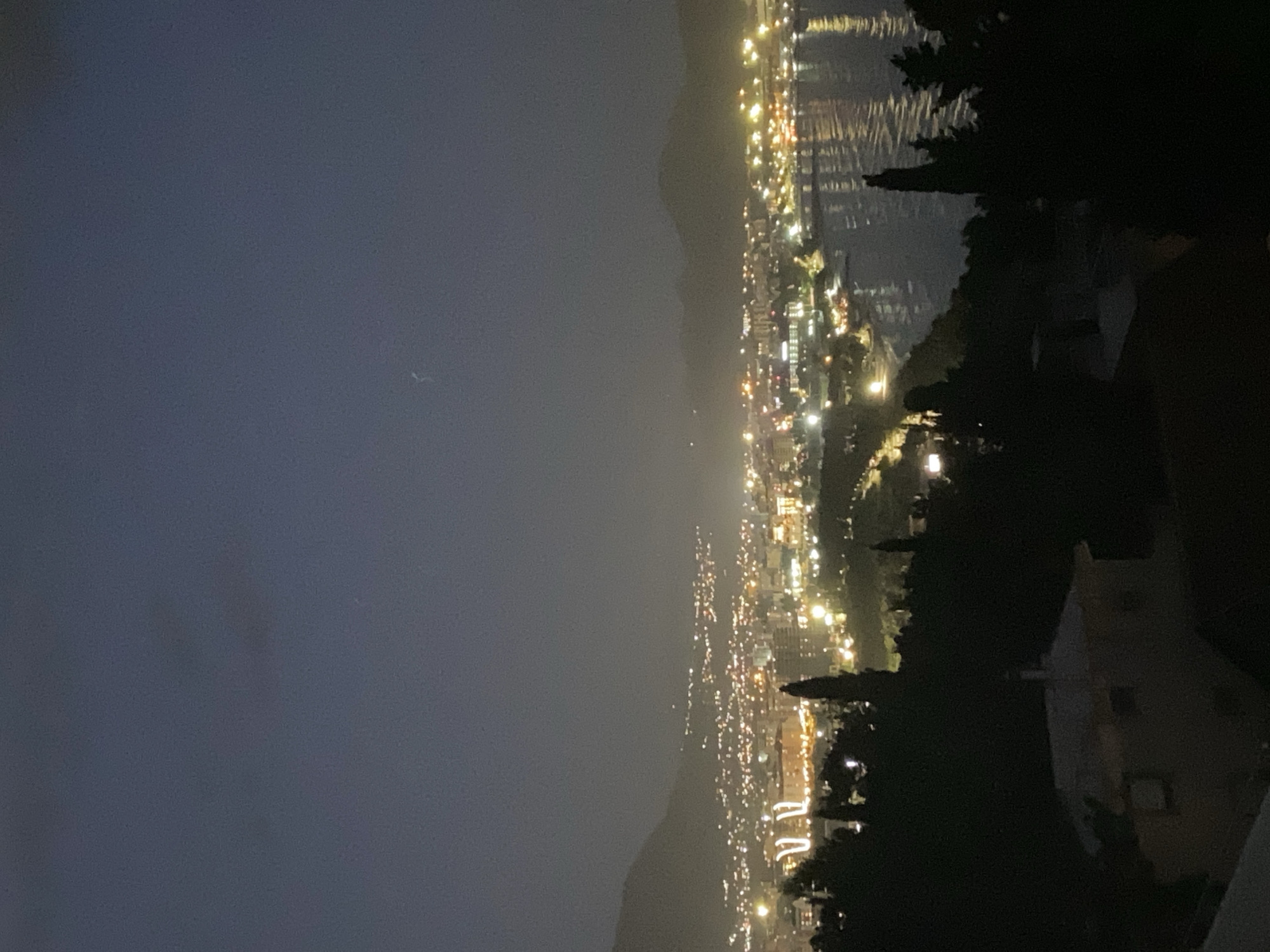 The image shows a night cityscape in Šušanj, Montenegro. The city lights stretch along the coastline, reflecting on the water. Mountains are visible in the background. Silhouetted trees and buildings frame the view from an elevated position.