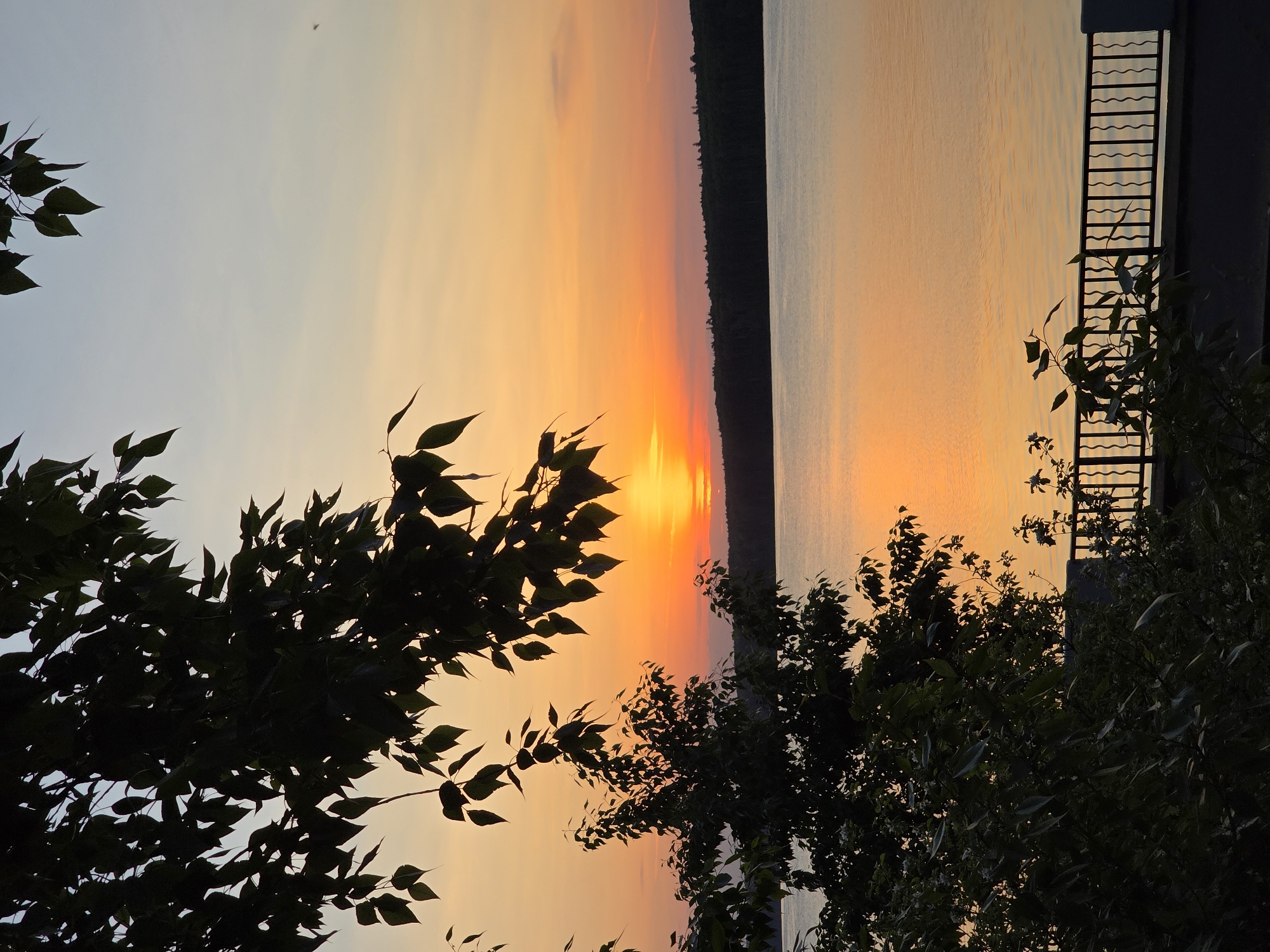 The image shows a sunset over a body of water, likely the Votkinsk Reservoir in Chaikovsky, Russia. The sky transitions from light orange to a fiery orange near the horizon, reflecting in the water. Silhouetted trees are in the foreground. A dark, forested landmass is visible across the water. A structure with a railing is seen on the right side of the frame, partially obscured by vegetation. A small object, possibly a bird, is visible in the upper left sky.