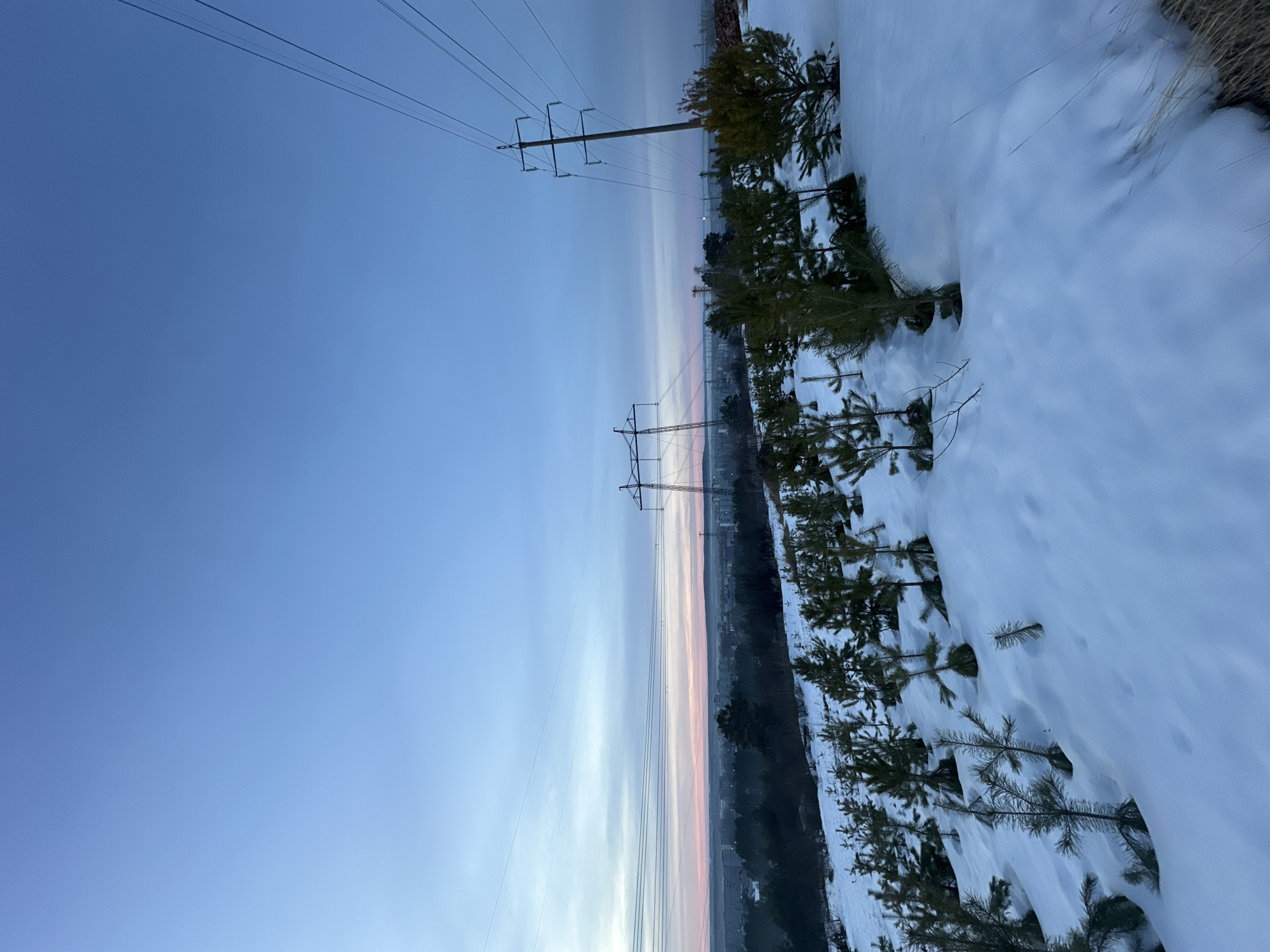 The image depicts a snow-covered hillside overlooking the city of Chaikovsky, Russia, during what appears to be dawn or dusk. In the foreground, numerous small pine saplings and scattered taller shrubs are visible, partially covered by a layer of white snow. Some footprints are discernible in the snow, traversing the slope. A prominent lattice-steel electricity transmission tower stands in the mid-ground on the left, with multiple power lines extending horizontally across the frame. To the right, a wooden utility pole with multiple cross arms supports additional power lines that angle downwards towards the right. Beyond the snow-covered slope and the power infrastructure, a dark band of trees forms a natural barrier before the distant cityscape of Chaikovsky becomes visible. The city skyline is characterized by various buildings and structures silhouetted against the horizon. The sky above is a gradient, transitioning from a clear, light blue at the top to a subtle band of pale pink and orange near the horizon, indicative of low-light conditions. No individuals are present in the scene.