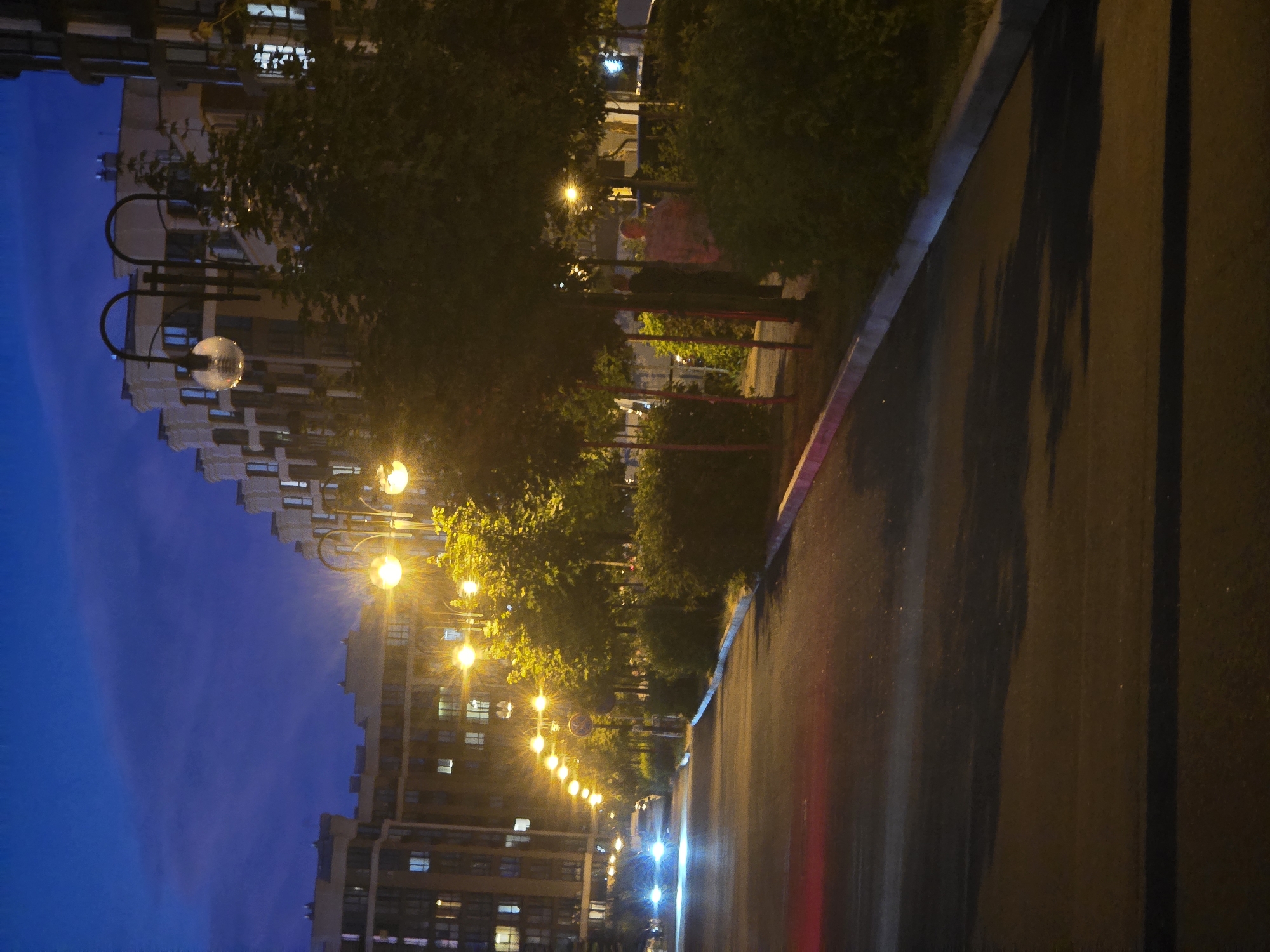 This image depicts a street scene at dusk or night in Sofiivska Borshchahivka, Ukraine. The camera is oriented vertically, giving a sense of looking up or down along the street.
The main subjects are a modern apartment building with numerous illuminated windows, lining one side of the street, and a row of streetlights that cast a warm, yellow glow. The street itself appears to be paved and possibly wet, with reflections of the lights and the sky visible on its surface. Lush green trees and bushes are interspersed along the sidewalk, creating a contrast with the urban architecture.
In the background, beyond the trees and streetlights, there are hints of further buildings and urban development. One of the streetlights has a distinctive curved design. The sky is a deep, rich blue, indicating twilight or early night. There are no people clearly visible in the frame, and no text is discernable. The overall mood is serene and tranquil, with the artificial lights creating a cozy atmosphere against the darkening sky.