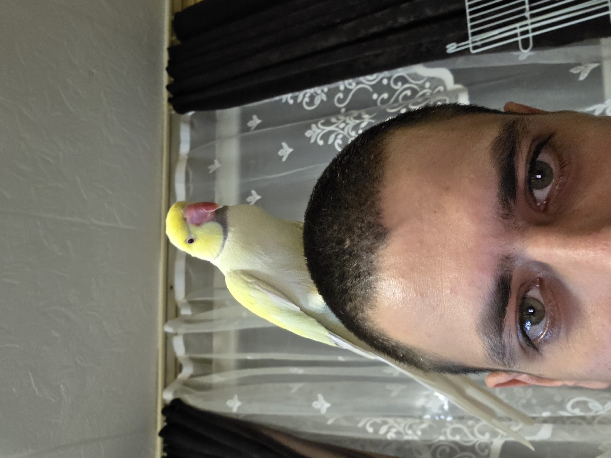 A man is holding a bird on his shoulder, with his face taking up the right half of the frame. The bird is light yellow with a red beak and is positioned on the man's left shoulder. The man has short, dark hair and green eyes. Behind them is a window with sheer curtains and dark, heavier curtains above. The background includes part of a cage at the top of the image. The location in Burgas, Bulgaria, cannot be determined from this image alone.