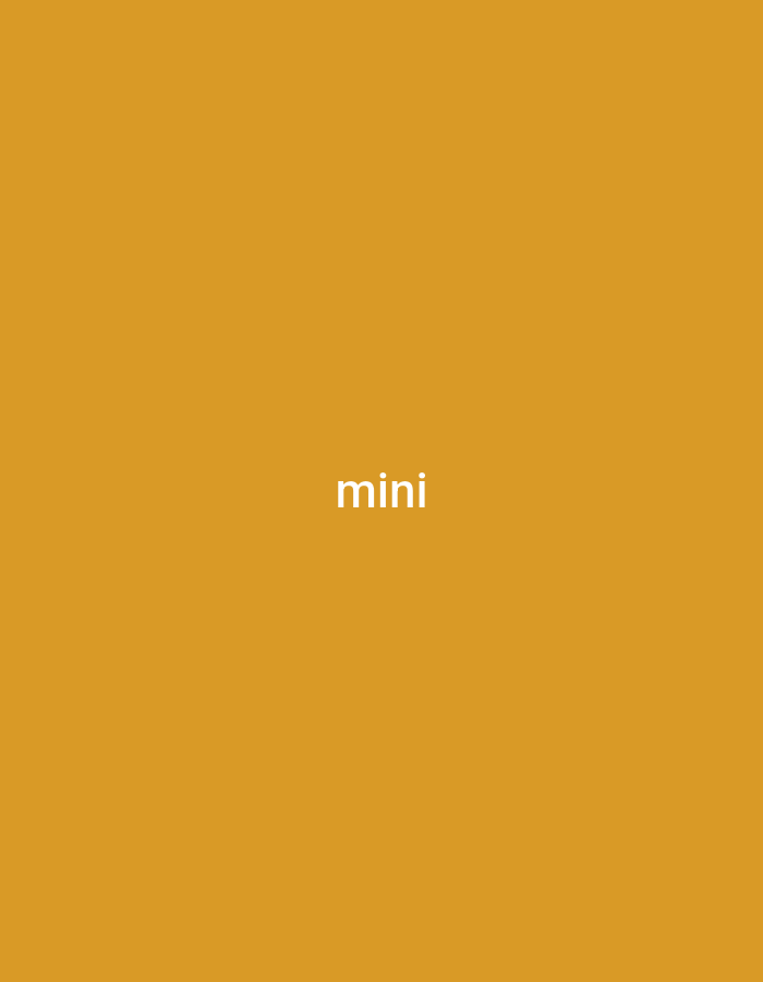 The image is a plain, solid amber background with the word "mini" written in white text in the center. There are no people, subjects, objects, actions, or interactions depicted. The image does not contain any information related to the city of Verkhniachka, Ukraine.