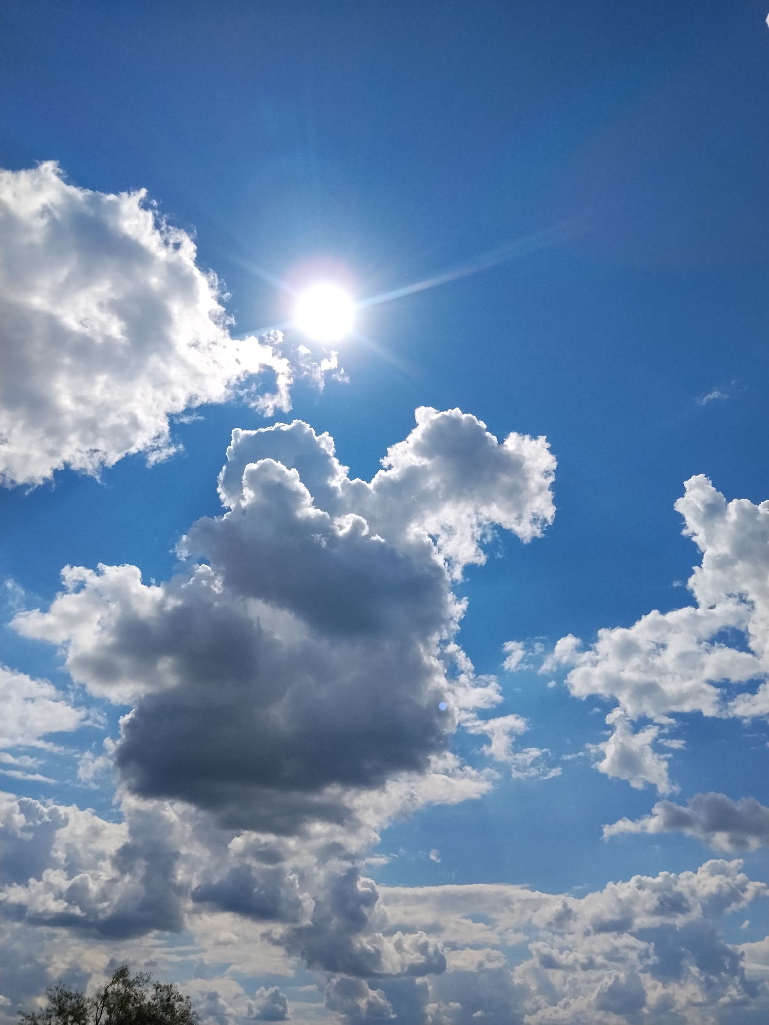 A bright sun is positioned in the upper left quadrant of the image, casting rays through a bright blue sky filled with fluffy white and gray cumulus clouds. The clouds vary in size and density, creating a dynamic and textured sky. At the very bottom of the image, the tops of some trees are visible, suggesting an outdoor, natural setting. The image appears to be a photograph taken looking directly upwards towards the sky. There are no people or discernable objects or actions within the scene.
