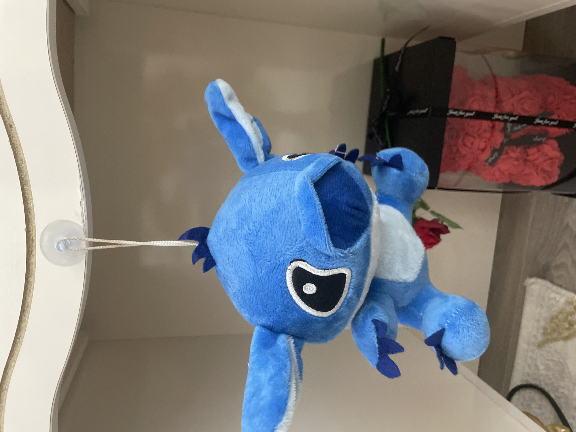 A blue plush toy, resembling the character Stitch, is depicted hanging from a string attached to a clear suction cup in an indoor setting in Ihtiman, Bulgaria. The toy is bright blue with a fluffy texture, featuring large black and white eyes, a white belly, pointed ears with white inner linings, and small blue felt claws or spikes on its back and feet. Its mouth is open, giving it a somewhat playful or mischievous expression.
The suction cup is round and transparent, secured to what appears to be a white shelf or furniture piece with a curved edge on the left side of the frame. A thin white string connects the suction cup to the plush toy.
In the background, a black rectangular box with a transparent lid is visible. Inside the box are numerous red, rose-shaped items, likely artificial flowers, arranged closely together. A black ribbon with white text is tied around the box, and the text "Just for you" is visible repeated along the ribbon. Partially obscured behind the plush toy and near the flower box is a single red artificial rose. To the bottom right, a segment of white and gold patterned fabric, possibly a decorative pillow or blanket, is visible. The wall behind the objects is a neutral light brown or beige color, suggesting an ambient indoor light source.