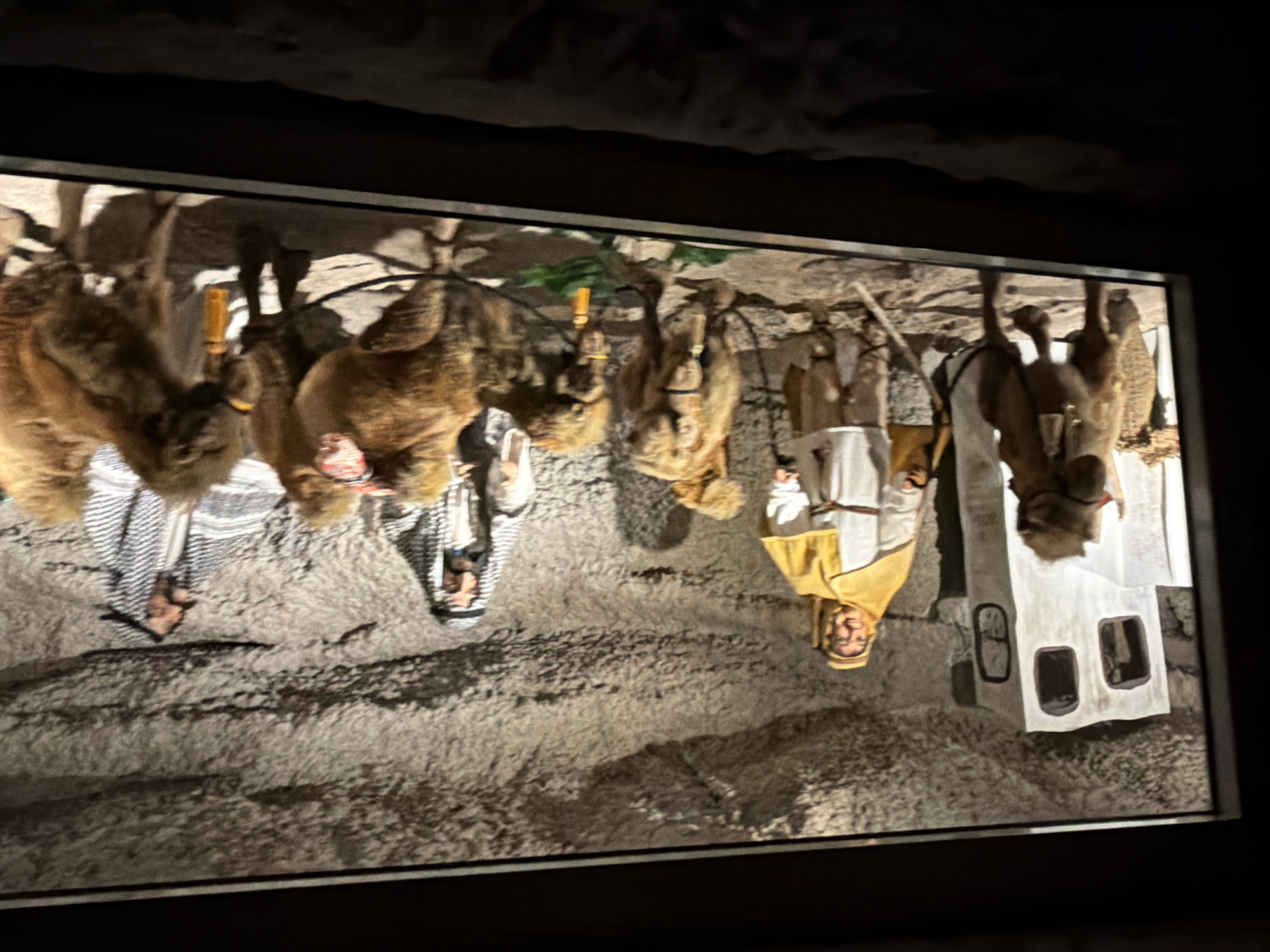 The image depicts a scene in the city of Tolk, Germany, likely at the Tolk-Schau amusement park, which features dioramas and attractions. The scene itself is a diorama of a biblical Nativity scene, rendered in a static, theatrical style.
In the foreground, to the left, is a large, tan-colored camel with a saddle, standing on a sandy ground. Behind it, a figure dressed in a white robe and a yellow head covering, possibly representing Mary, stands near a small, whitewashed structure with two rectangular openings. Further to the right, two more camels, also tan-colored and appearing to be real taxidermy or highly realistic models, are positioned.
The middle ground features two male figures dressed in traditional Middle Eastern attire, including keffiyehs (headscarves). One figure appears to be interacting with the camels, while the other stands slightly behind. All figures are still, suggesting they are mannequins or figures within a display.
The background is a rough, rocky, cave-like wall, creating an austere environment. The lighting appears to be artificial, casting shadows that enhance the dramatic presentation of the scene. The overall impression is of a staged tableau meant to evoke a historical or religious narrative.