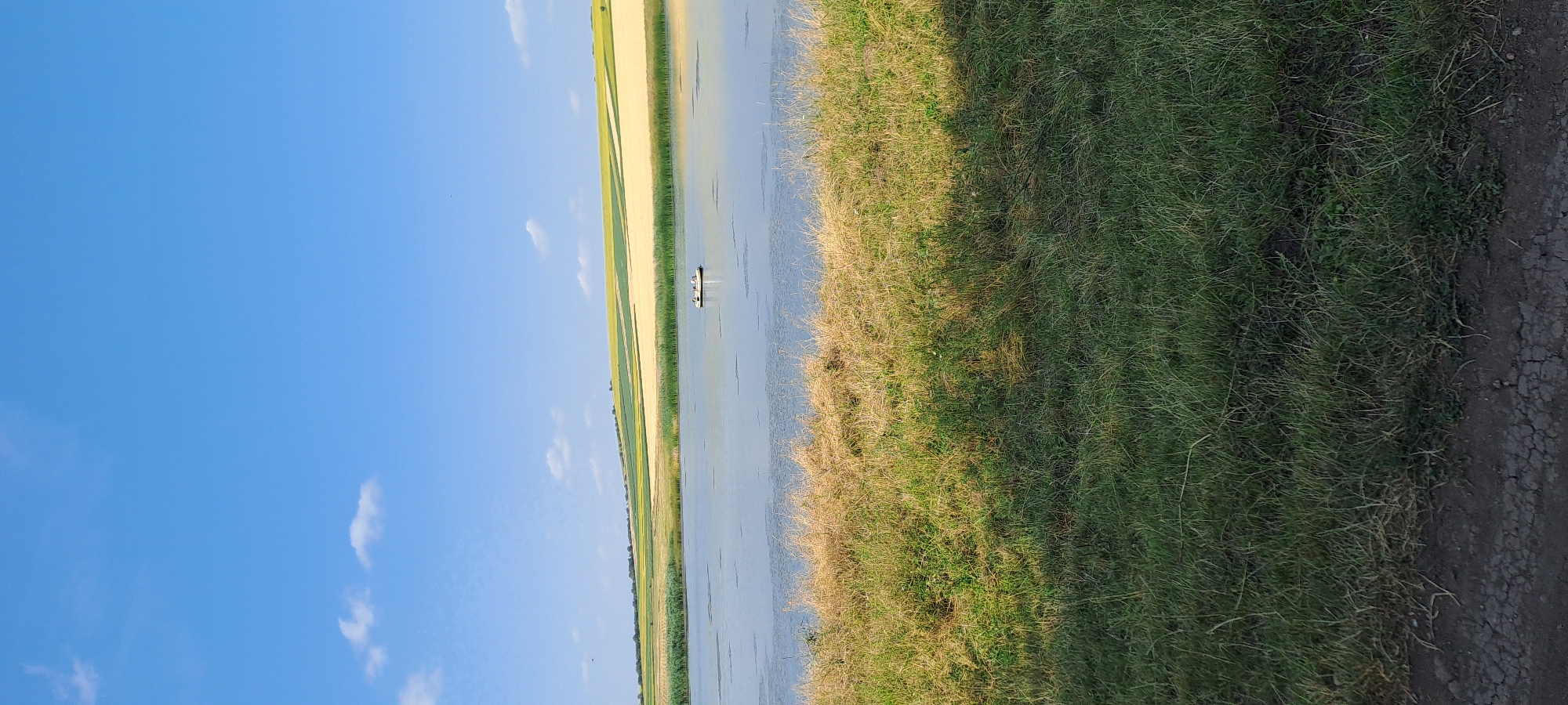 In Mărineşti, Moldova, a wide, calm body of water occupies the middle ground of the image. A small, light-colored boat with several people aboard is positioned on the water towards the right side of the frame. The water reflects the bright blue sky, which is dotted with a few wispy white clouds. The horizon is marked by gently rolling hills covered in agricultural fields, with distinct bands of green and yellow crops. In the foreground, a strip of tall, dry grass transitions to a patch of green grass, with a dark, somewhat cracked surface, possibly a dirt path or road, at the very bottom of the image.