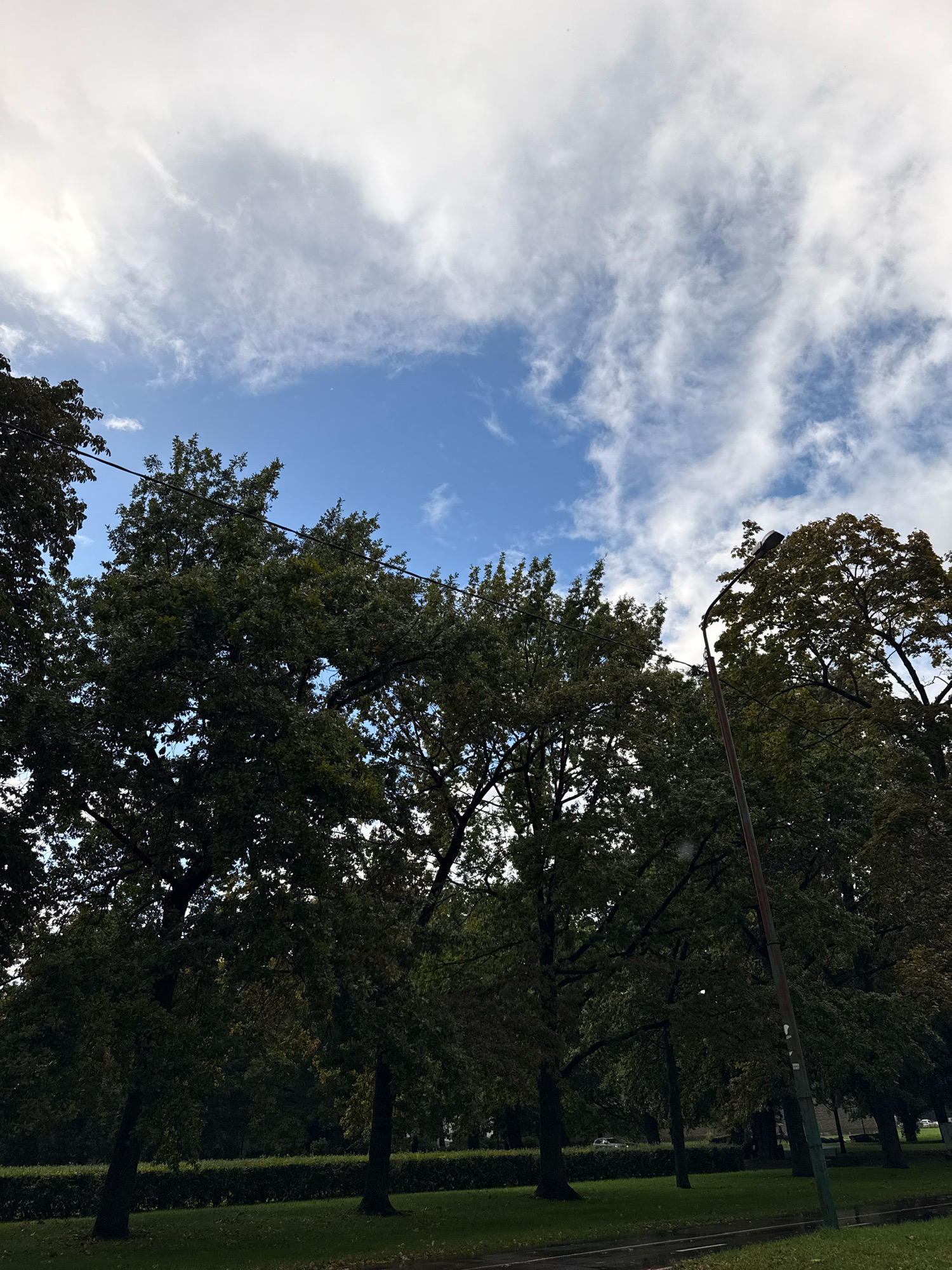 This image shows a view of trees and the sky in Tallinn, Estonia. The trees are deciduous and appear to be in a park or along a street. The sky is partly cloudy with blue patches visible. A street lamp is visible on the right side of the frame. The ground is covered in grass, and there is a paved surface in the foreground, possibly a sidewalk or road.