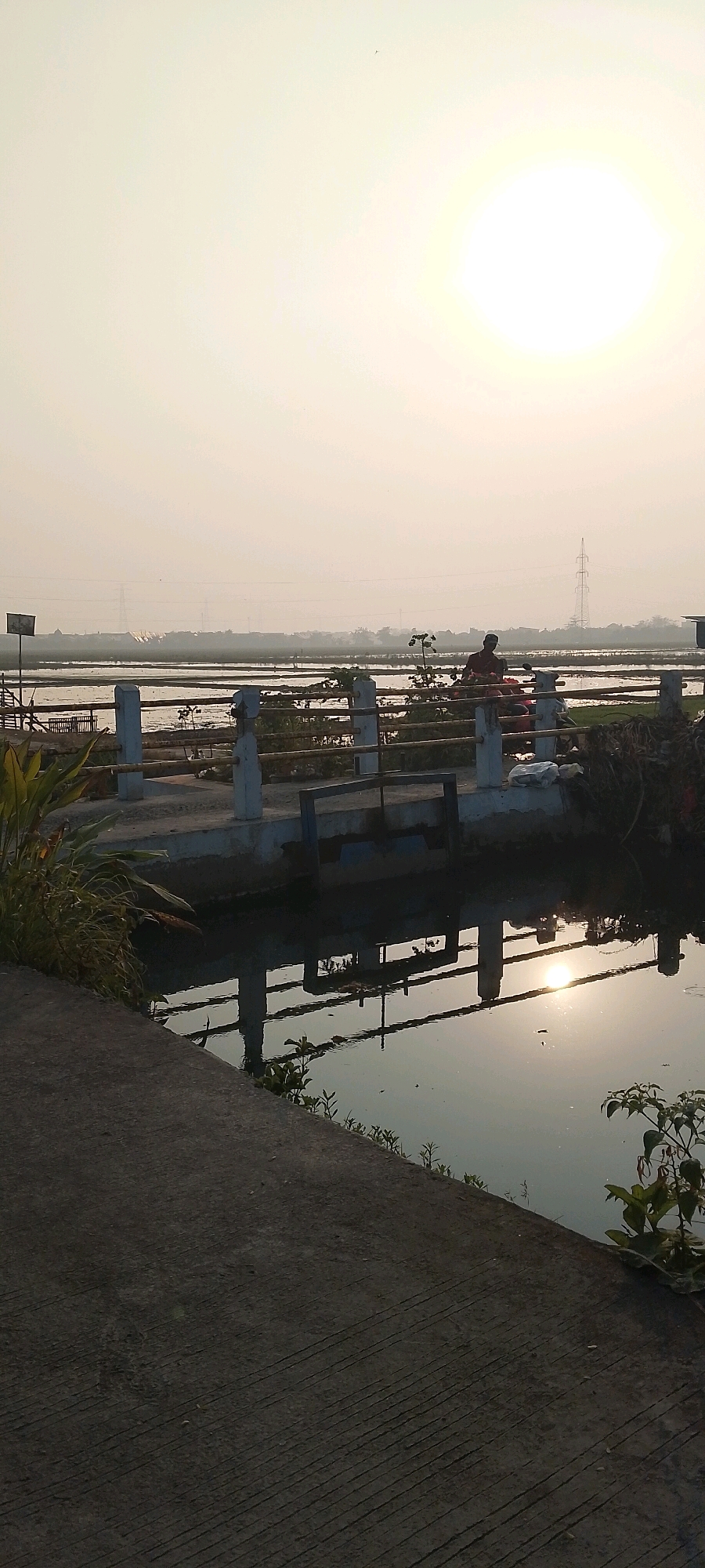 The image depicts a serene outdoor scene at a body of water, likely a canal or irrigation channel, in Satriajaya, Indonesia. The sun is high and bright in a hazy sky, casting a warm glow over the landscape. In the foreground, a concrete walkway runs diagonally from the lower left corner of the frame. Adjacent to the walkway, a metal railing with vertical supports lines the edge of the water.
A person, wearing a dark shirt and a head covering, is seated on a motorcycle on a bridge spanning the water. The motorcycle appears to be loaded with red and pink bundles. The person is looking towards the water. The bridge has similar railings to the one in the foreground. Reflections of the bridge, its railings, and the surrounding vegetation are visible on the calm surface of the water.
In the background, a vast expanse of flooded rice paddies stretches towards the horizon, characteristic of the agricultural landscape in Satriajaya. Power lines and transmission towers are visible in the distance, indicating the presence of infrastructure. The overall impression is one of tranquility and everyday life in a rural Indonesian setting.