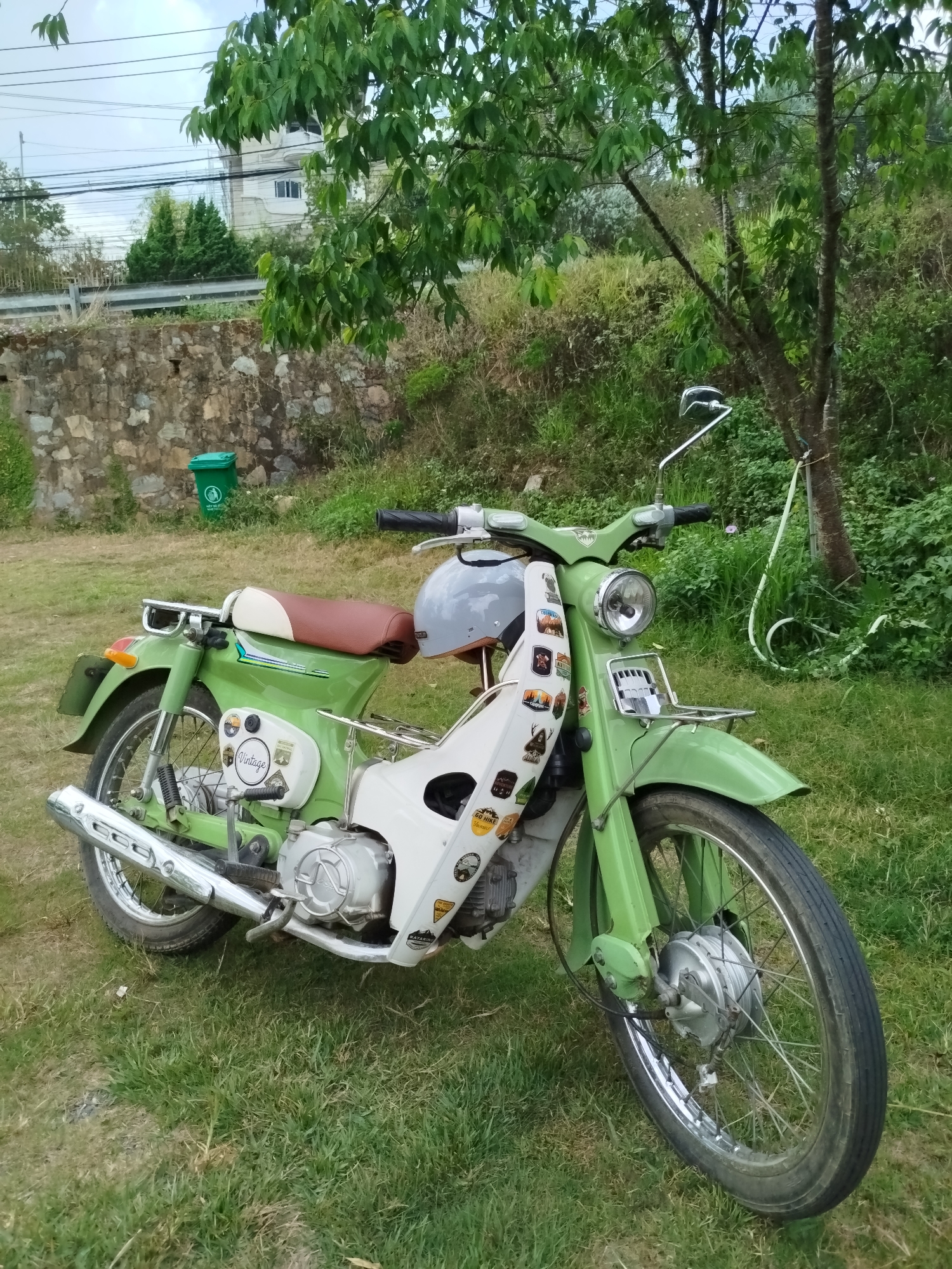 The image presents a light green and white vintage motorcycle parked on a grassy lawn. The motorcycle has a brown and beige seat, chrome accents, and decorative stickers on the white fairing. A grey helmet rests on the seat. In the background, there is a stone wall, a green trash bin, and trees, with a building visible in the distance. The setting appears to be a residential or park-like area, consistent with the outskirts of Da Lat, Vietnam, known for its hilly terrain, greenery, and French colonial architecture. A white hose is tied to a tree trunk near the motorcycle. The image is taken outdoors during daylight, possibly in the late morning or early afternoon.