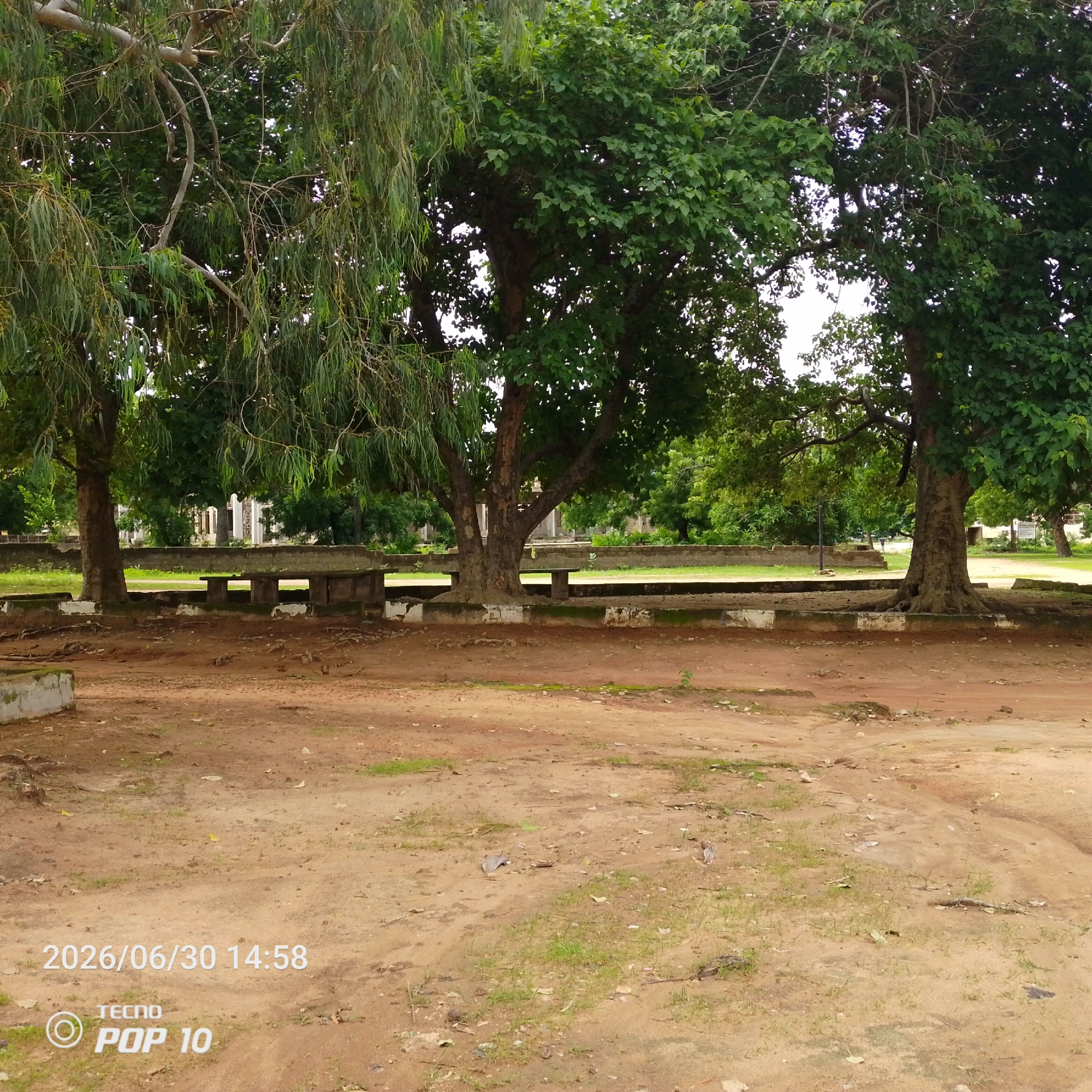 The image depicts an outdoor scene in Jalingo, Nigeria, featuring a natural setting with several large trees and a paved area in the foreground. The trees are lush and green, suggesting a time of year with sufficient rainfall, possibly during the rainy season. Their dense foliage creates shade, implying it is likely daytime. In the background, architectural structures with pillars are visible, hinting at a public space or historical site.
In the middle ground, a series of stone benches and tables are set up, appearing to be part of an outdoor seating area. These structures are weathered and show signs of age. The ground in the foreground is sandy and reddish-brown, with sparse patches of dry grass and scattered leaves. A few pieces of debris are also present on the ground.
No people are visible in the frame, and the scene conveys a sense of quiet solitude. The lighting suggests it could be mid-day or late afternoon. Visible text overlaying the image includes a date and time stamp "2026/06/30 14:58" and a logo with "TECNO POP 10". These markings indicate that the image was captured with a Tecno Pop 10 smartphone on June 30, 2026, at 2:58 PM.