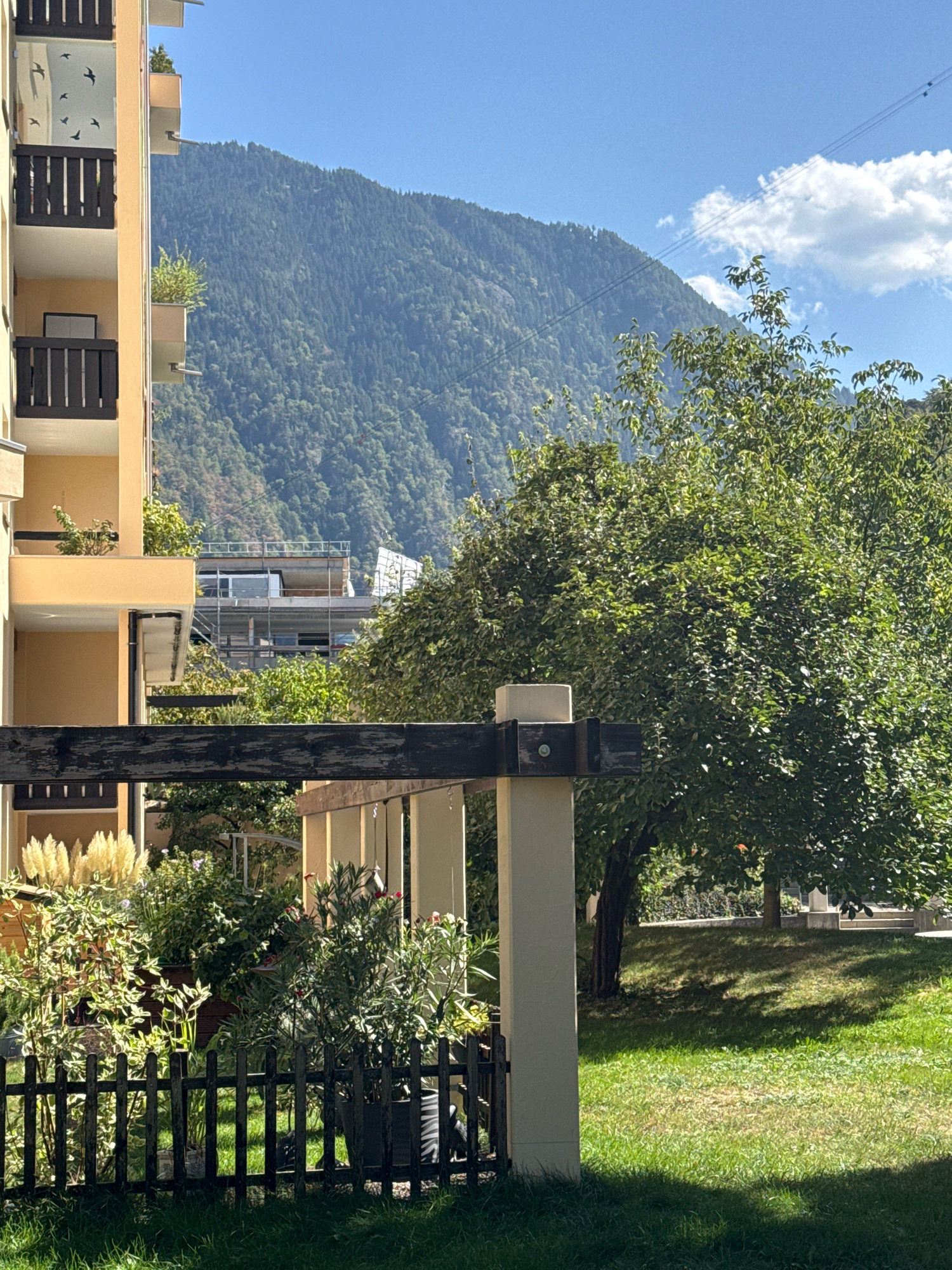 A sunlit outdoor scene shows a yellow apartment building with dark brown balconies on the left, a dense green forest covering a mountain in the background, and a vibrant green lawn in the foreground. The building has multiple levels with balconies adorned with plants and decorative bird silhouettes on some of the glass panels. A dark wooden beam runs horizontally across the middle of the image, supported by white pillars. Beyond the beam, lush green trees and bushes are visible, with a larger tree dominating the right side of the frame. The lawn is partially shaded by trees. The sky is bright blue with scattered white clouds. There are no people or animals clearly visible in the image.