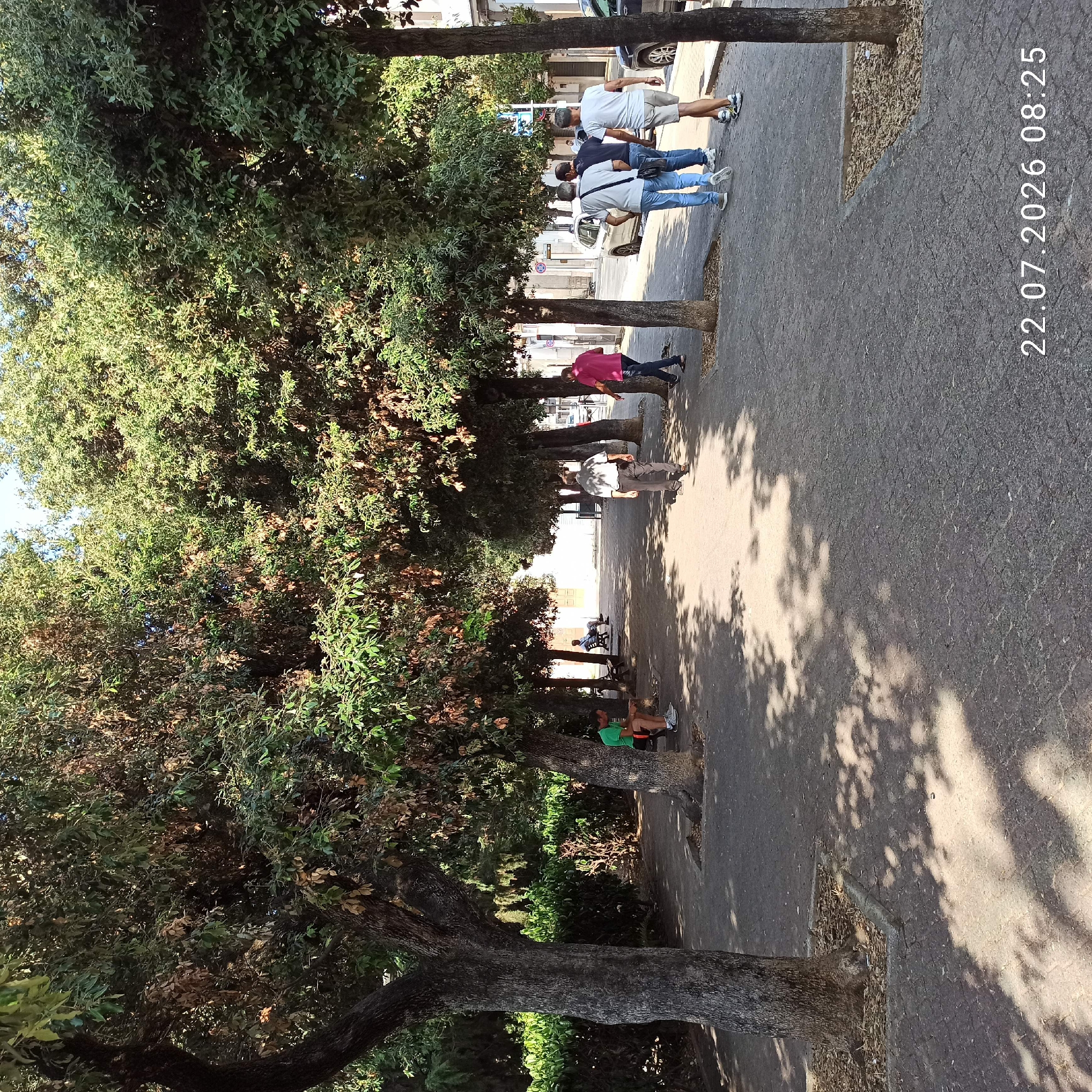 The image depicts a tree-lined pedestrian walkway in Modugno, Italy, as indicated by the date stamp "22.07.2026 08:25." The walkway is paved with dark grey interlocking bricks and is bordered by large trees casting dappled shadows on the ground. Several people are present. On the left, a man wearing a green shirt and dark shorts sits on a bench under a tree. Further down the walkway, two men walk towards the foreground. One man in a light-colored shirt and dark pants is walking away from the camera, while another man in a pink shirt and blue jeans walks away from the camera and to the right. On the right side of the walkway, a group of three men are walking away from the camera. The man in front wears a light blue shirt and jeans, followed by a man in a dark shirt and jeans, and then a man in a light-colored t-shirt and light shorts. In the background, vehicles are visible on a street to the right, and buildings can be seen beyond the walkway. Lush green foliage lines the edge of the walkway on the left side.