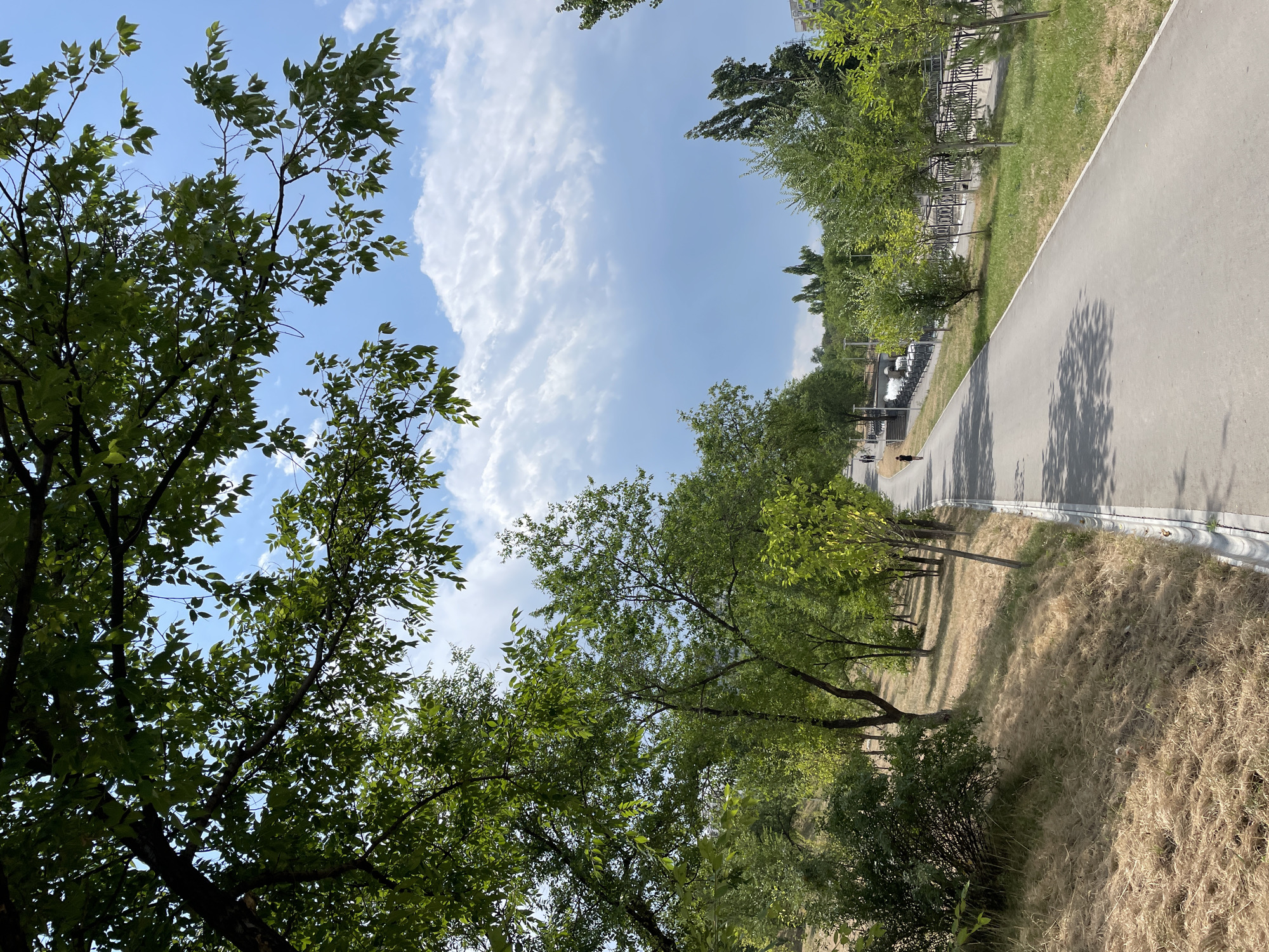 The image depicts a paved pathway in a park setting, likely in Almaty, Kazakhstan, given the architectural style of the building visible in the distance and the general landscape. The pathway is bordered by grassy areas and trees on both sides. On the left, a dry, grassy slope leads up to a dense bush. On the right, the pathway is lined with young trees and a decorative metal fence. In the distance, several people are visible walking or jogging on the path. The sky is a bright blue with scattered white clouds. The overall scene suggests a recreational area within a city park, possibly designed for walking and cycling.