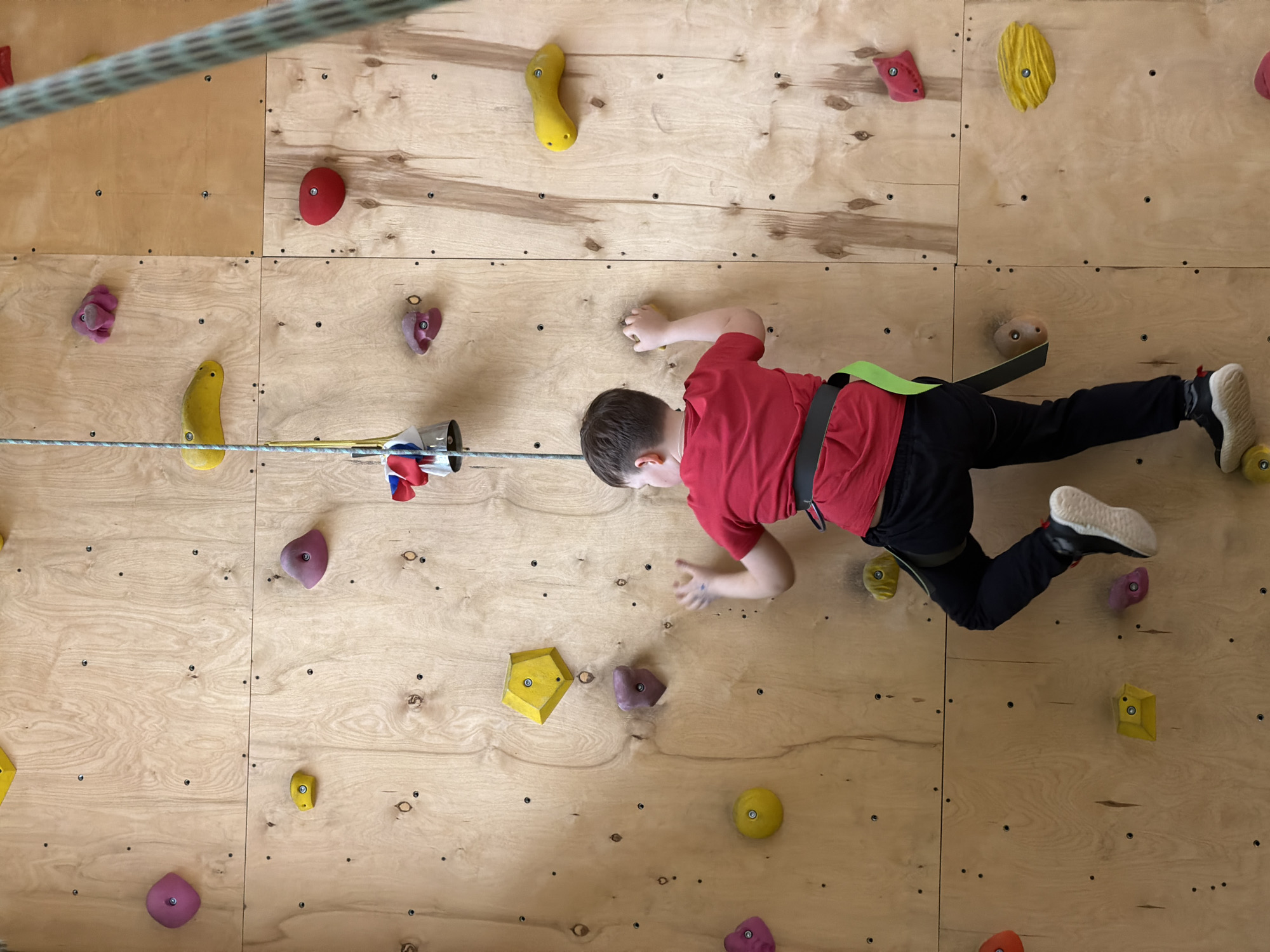 A young child is depicted actively climbing an indoor rock wall, viewed from an overhead perspective. The child wears a red short-sleeved t-shirt, dark long pants, and sneakers with white soles. A black climbing harness with a bright green strap is secured around their waist, connecting them to a safety rope via a belay device. Their body is positioned almost horizontally, with the left hand extended, seemingly reaching for a hold, and the right foot placed firmly on another hold.
The climbing wall is constructed from light-colored wooden panels, likely plywood, which display visible wood grain and numerous pre-drilled holes for attaching holds. Adorning the wall are various colorful climbing holds in different shapes and sizes, primarily in shades of yellow, red, and purple, with some appearing orange or earthy brown. A thick, braided green and white rope crosses the upper left corner of the frame. The scene is well-lit, typical of an indoor recreational facility. No text is visible in the image. This activity takes place in Izhevsk, Russia.
