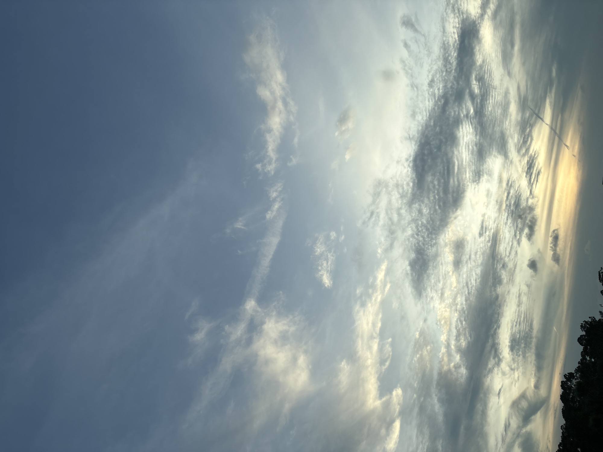 This is an image of the sky over North Port, United States of America, taken from ground level. The sky is filled with various types of clouds, ranging from wispy cirrus clouds high in the atmosphere to more textured stratocumulus clouds lower down. The colors in the sky suggest it is either early morning or late evening, with a soft yellow glow peeking through the clouds near the horizon on the right side of the image. The bottom of the image shows the dark silhouettes of trees and foliage, indicating a natural or park-like setting within the city. There are no people or visible structures in the image, focusing entirely on the atmospheric conditions.
