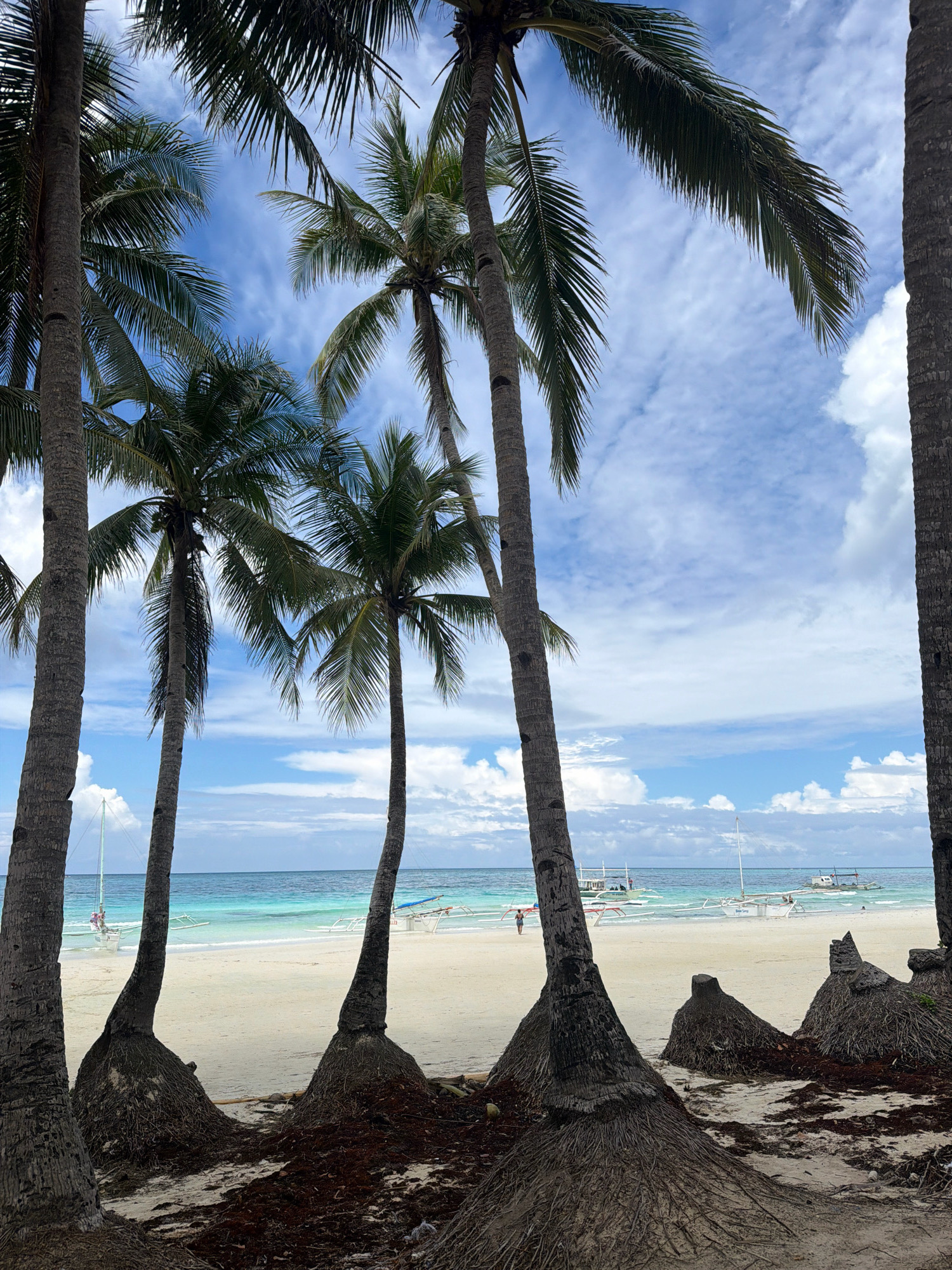 The image depicts a tropical beach scene, likely in Malay, Philippines, characterized by lush palm trees in the foreground. These trees, with their distinctive, exposed root systems, frame a view of a pristine white sand beach that slopes gently towards the ocean. The water is a striking turquoise, transitioning to a deeper blue further out, with several outrigger boats dotting the horizon. The sky is a vibrant blue, punctuated by fluffy white clouds. In the distance, a few individuals can be seen strolling along the shoreline and near the boats, suggesting a peaceful and leisurely atmosphere. The overall impression is one of a serene and idyllic beach paradise.