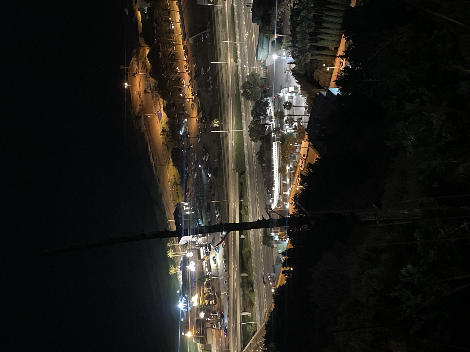 This image shows a nighttime view of the coastal area of Haifa, Israel. In the foreground, a tall, dead tree trunk is silhouetted against the dark sky. Below the tree, a dense forest of dark green trees and shrubs is visible, with some scattered lights indicating human activity.
Further down the slope, a multi-lane highway is illuminated by streetlights. Cars are visible on the highway, suggesting ongoing traffic. Beyond the highway, there is a promenade or a recreational area along the coastline. This area is dotted with palm trees and illuminated by street lamps, casting a warm glow on the scene. Buildings, possibly commercial establishments or residences, are visible in this area, some with lights on. The sea stretches out to the horizon, meeting the dark night sky.
In the middle ground, a large, modern building complex with bright lights is prominent. This complex appears to be a commercial or entertainment venue, with cars parked in its vicinity.
The overall impression is of a lively urban area situated along the coast, bathed in the artificial lights of the city at night. The elevated perspective from the hill provides a panoramic view of the different layers of the city, from the dense vegetation in the foreground to the bustling coastal strip and the sea beyond.