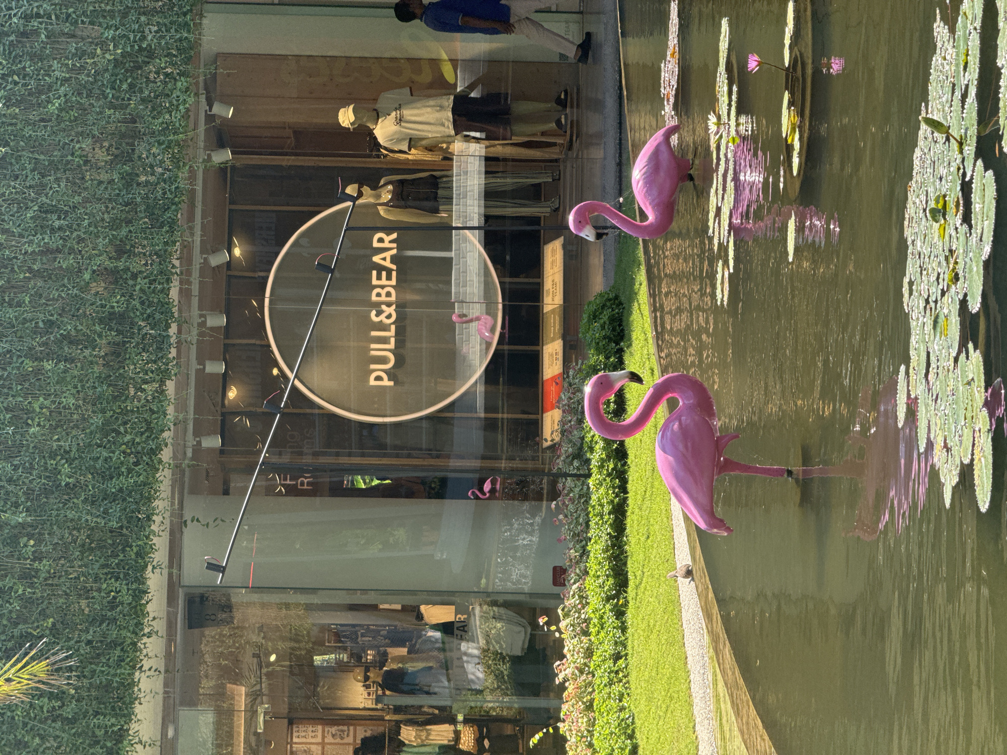 The image captures an outdoor scene in Kuta, Indonesia, featuring a pond with two large pink flamingo statues in the foreground, one on the left facing left and another on the right facing left. The pond has lily pads and reflections of the flamingos and surrounding environment. Behind the pond is a manicured green lawn bordered by a light-colored pathway. Beyond the lawn, there is a building with large glass windows that appear to be a storefront. Inside the storefront, mannequins are displayed, and a circular sign with the text "PULL&BEAR" is illuminated. A person in a blue shirt and light-colored pants is walking from right to left in front of the storefront. Lush green vines cascade down from the top of the building, creating a natural canopy over the storefront area. The overall impression is a well-maintained outdoor commercial space.
