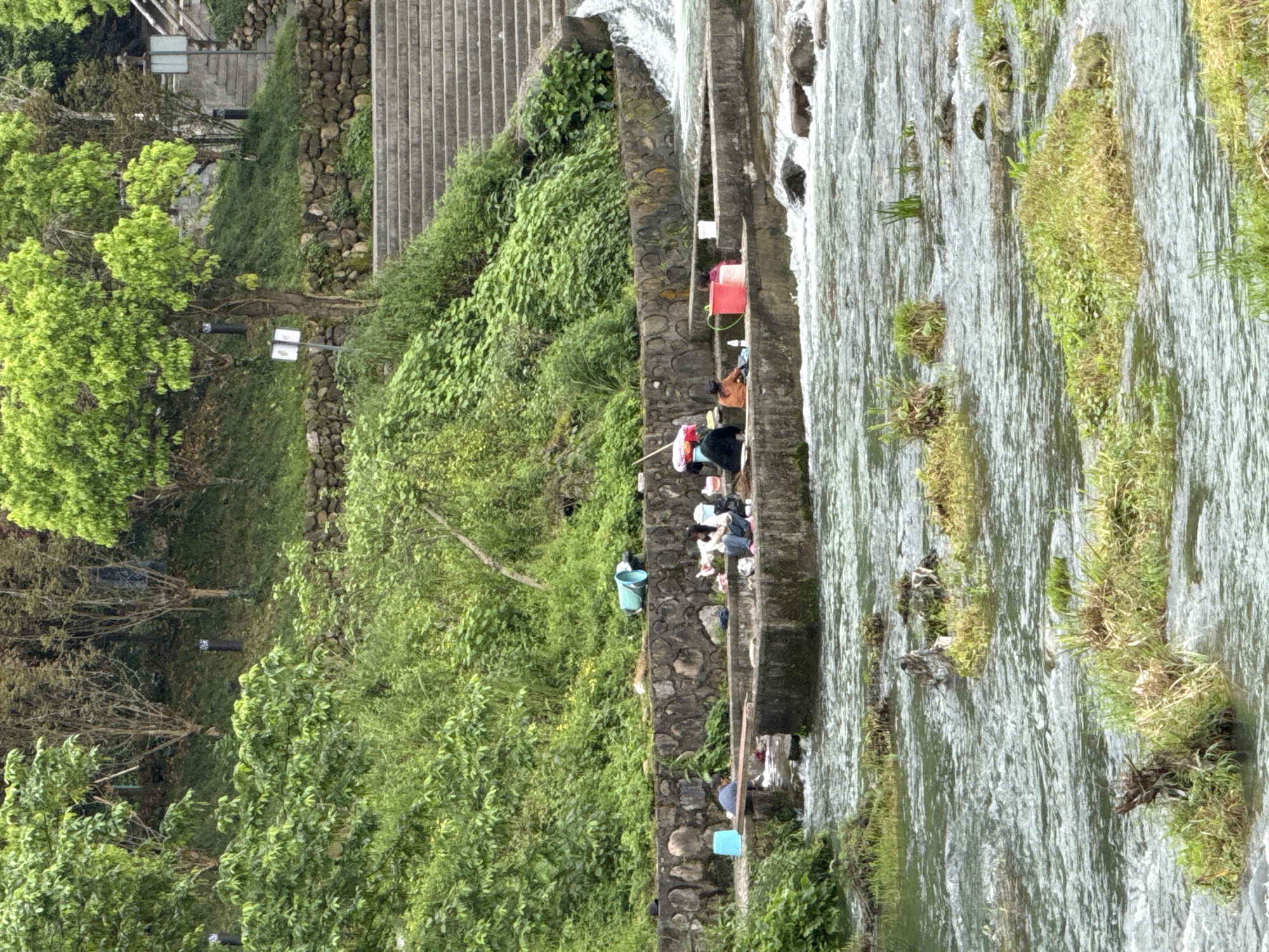 This image captures a vibrant scene of daily life along a flowing river or stream, set within a lush, natural environment, likely in Wulingyuan, China. The scene is dominated by a clear body of water cascading gently over stone structures, bordered by a constructed stone bank on the left.
Along the stone bank, several individuals are gathered, actively engaged in washing. They are positioned at the water's edge, bending over to access the flowing water. This activity appears to be communal laundry, a traditional practice utilizing natural water sources. Colorful plastic buckets—red, blue, and white—are placed near the washers, holding water or items to be cleaned. Clothes or fabrics are visible around the washing areas.
The riverbank and the slopes beyond are covered in dense, verdant green vegetation, including numerous trees and bushes, indicating a fertile landscape. Stone steps or stairs are visible winding up the green incline on the far left of the frame.
The scene is illuminated by natural daylight, suggesting a daytime activity. The light appears soft and diffused, possibly indicating an overcast sky rather than direct sunlight. There is no discernible text visible in the image. The setting conveys a sense of traditional community life intertwined with nature.