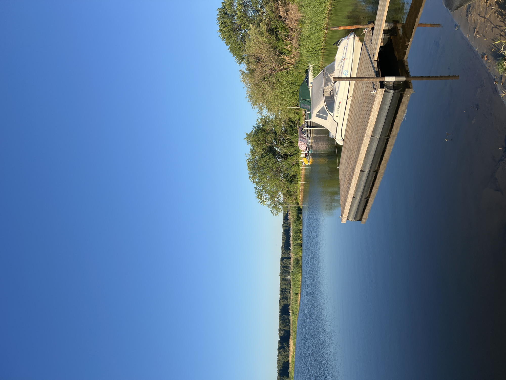 The image depicts a serene lakeside scene on a clear, bright day. In the foreground, a wooden pier extends into the calm, reflective blue water. A white motorboat, with a canvas canopy, is docked alongside the pier, its registration number "AA1561RUS54" visible. Further back, along the shoreline, a line of green reeds and lush trees creates a natural barrier. Beyond the reeds, a dense forest stretches across the horizon under a vast, cloudless blue sky. Several other boats, some with covers, are moored in the distance. The overall impression is one of tranquility and natural beauty, suggesting a peaceful day in Novopichugovo, Russia.