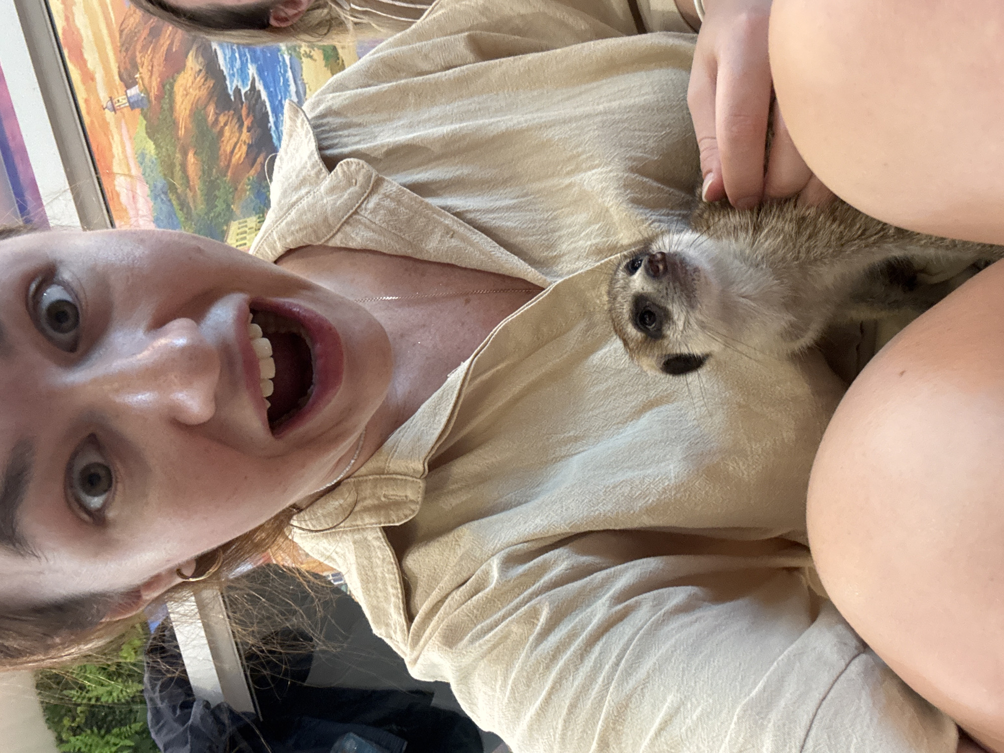 A woman is holding a meerkat in the city of Rawai, Thailand. The woman is wearing a tan button-down shirt and has a surprised expression on her face. Her mouth is open and her eyes are wide. The meerkat is looking up at her with its mouth slightly open. The background is a colorful mural of a coastal scene with a lighthouse.