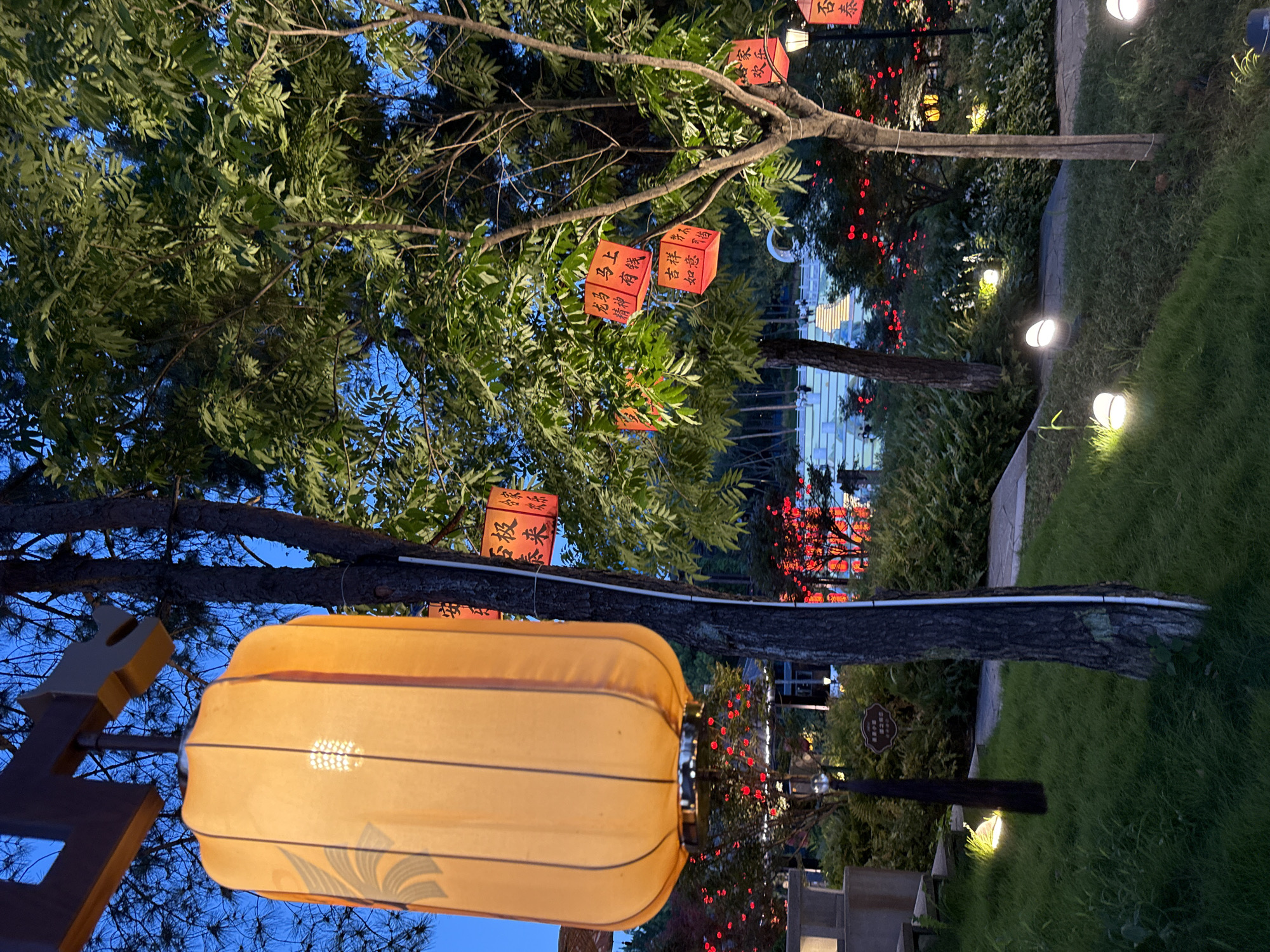 The image depicts a park-like setting at dusk or night, likely in Yiwu, China, illuminated by various lights. A large, illuminated orange lantern hangs from a wooden structure in the foreground, partially obscuring a tree trunk. Several smaller red lanterns with Chinese characters hang from branches of trees in the background. The ground is covered in green grass and winding pathways. Small, white, spherical lights are embedded in the grass along the pathways. In the distance, there are more trees and some architectural elements, with red lights dotting some of the foliage. A few individuals can be seen in the background, on elevated walkways or stairs. The overall atmosphere is serene and festive, suggesting a public space decorated for an event or seasonal celebration.