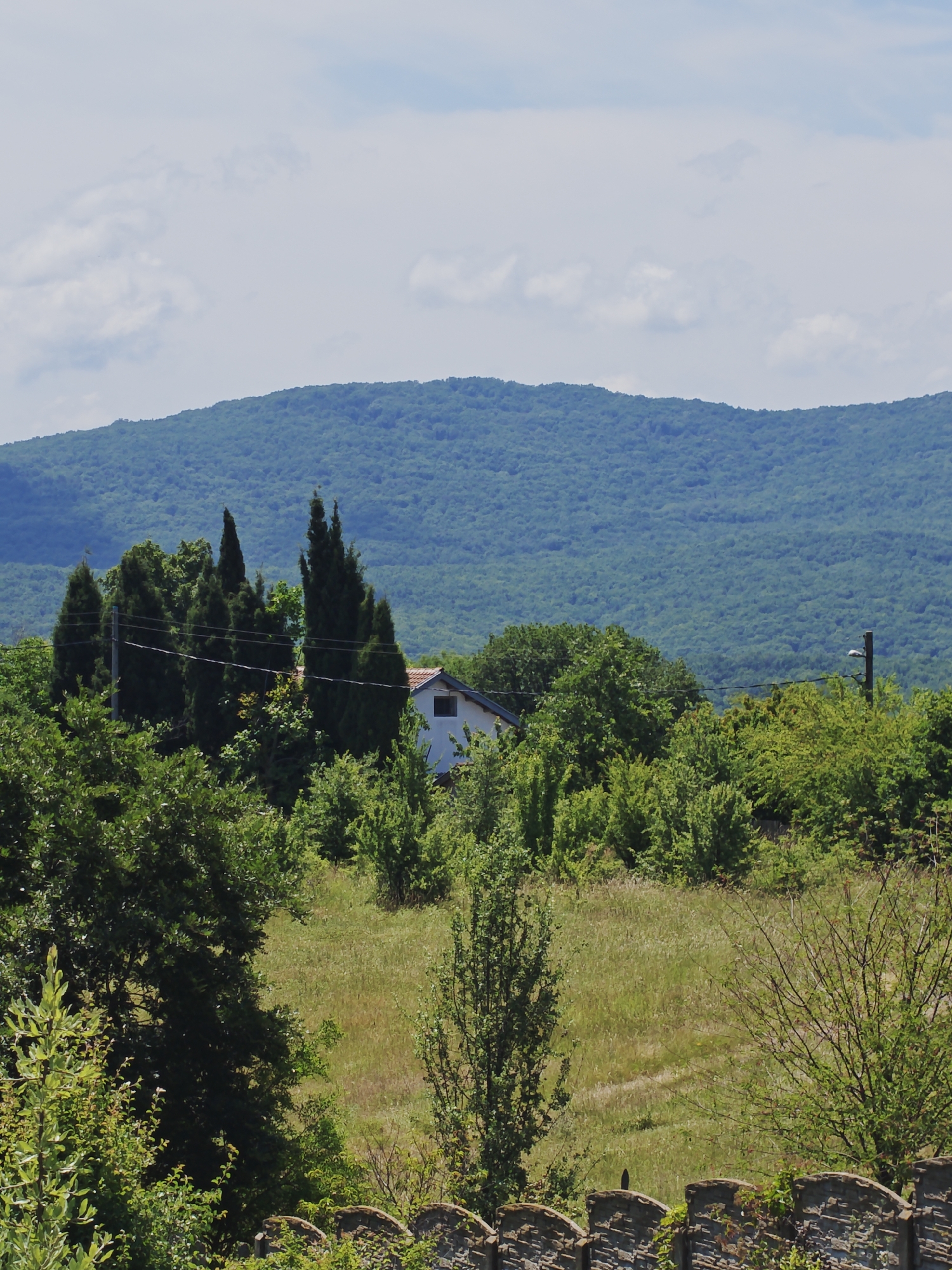 The image depicts a pastoral landscape near Izgrev, Bulgaria, on a bright, cloudy day. In the foreground, a stone wall with arched sections is visible, partially obscured by lush green foliage. Beyond the wall, a gently sloping meadow stretches towards a cluster of trees. A small, white building with a red-tiled roof peeks out from behind the trees, suggesting a rural dwelling. Tall, slender cypress trees stand prominently among the other vegetation, adding verticality to the scene. In the background, a vast, densely forested mountain range dominates the horizon, its slopes covered in a mosaic of green hues. The sky above is a pale blue, dotted with scattered white clouds, some of which are tinged with grey. The overall impression is one of serene natural beauty and a tranquil rural setting.