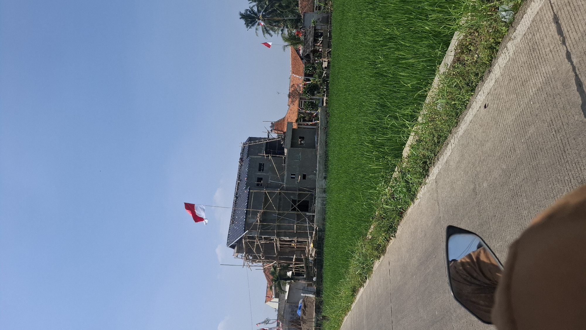 The image captures a scene in Ciharashas, Indonesia, on a clear, sunny day. A multi-story building, under construction, is the central focus. It is encased in scaffolding made of bamboo, and its exterior is a mixture of concrete and unfinished plaster. The roof appears to be tiled with dark shingles. Two Indonesian flags, red and white, are prominently displayed, one atop the building and another on a smaller flag pole to the right.
In the foreground, a paved road runs diagonally from the bottom left corner of the frame. The edge of the road is bordered by a vibrant, green rice paddy. The dense crop of rice plants stretches into the distance, contrasting with the man-made structures.
To the left and right of the central building, other residential structures with red-tiled roofs are visible. Palm trees are scattered throughout the landscape. In the bottom left corner, a portion of a motorcycle's side mirror is visible, reflecting a person wearing a brown garment, implying the photo was taken from a moving vehicle. The overall impression is a blend of rural landscape and ongoing development.
