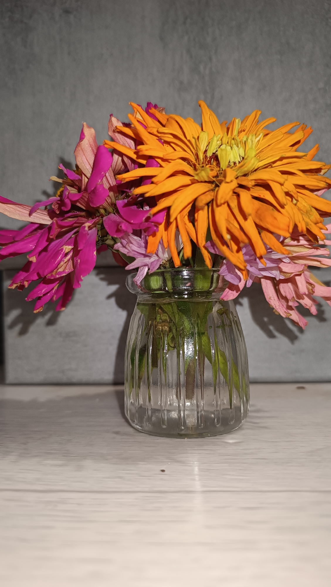 This is a close-up, vertical, studio shot of a small bouquet of wilting flowers in a clear glass vase. The vase is ribbed and cylindrical. The flowers are a mix of orange and pink zinnias and some lighter pink flowers. The background is a textured gray wall, and the vase sits on a light-colored wooden surface, possibly a table or shelf. The lighting is somewhat harsh, creating shadows on the wall behind the vase. There is no indication of the location in the city of Chaikovsky, Russia, as this is a still life subject isolated from any recognizable urban features.
