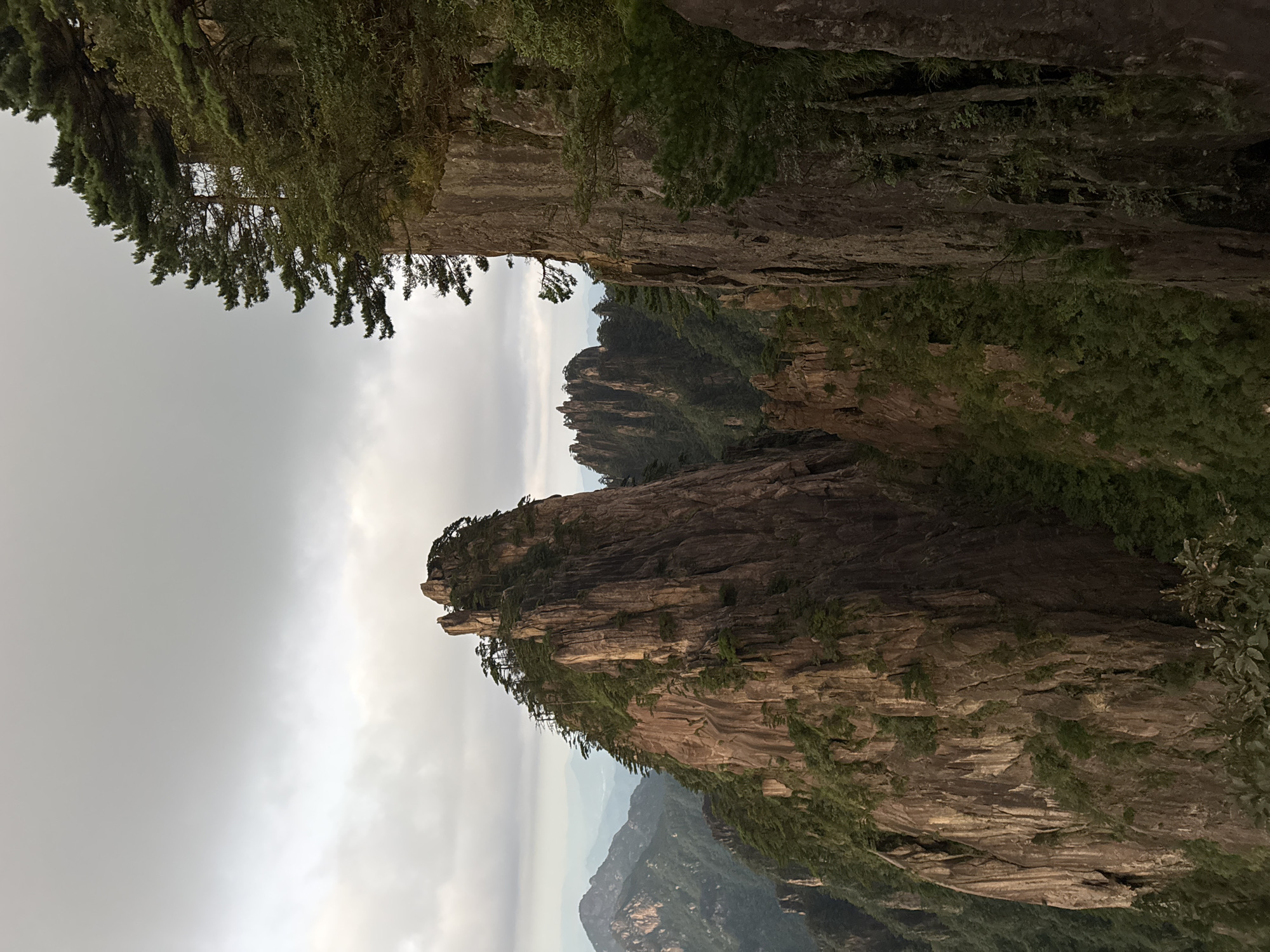The image captures a dramatic mountain landscape in Huangshan District, China, characterized by towering, weathered rock formations partially covered in greenery. The foreground features a steep, rugged cliff face on the right, with dense vegetation clinging to its surface and extending upwards. To the left, a prominent, jagged peak rises sharply, its steep slopes dotted with tenacious pine trees. In the distance, a range of mist-shrouded mountains creates a layered effect, receding into a hazy horizon under a cloudy sky. The lighting suggests it's either early morning or late afternoon, with diffused light highlighting the textures of the rock and the deep shadows within the ravines. No people or man-made structures are visible. The scene evokes a sense of natural grandeur and isolation.