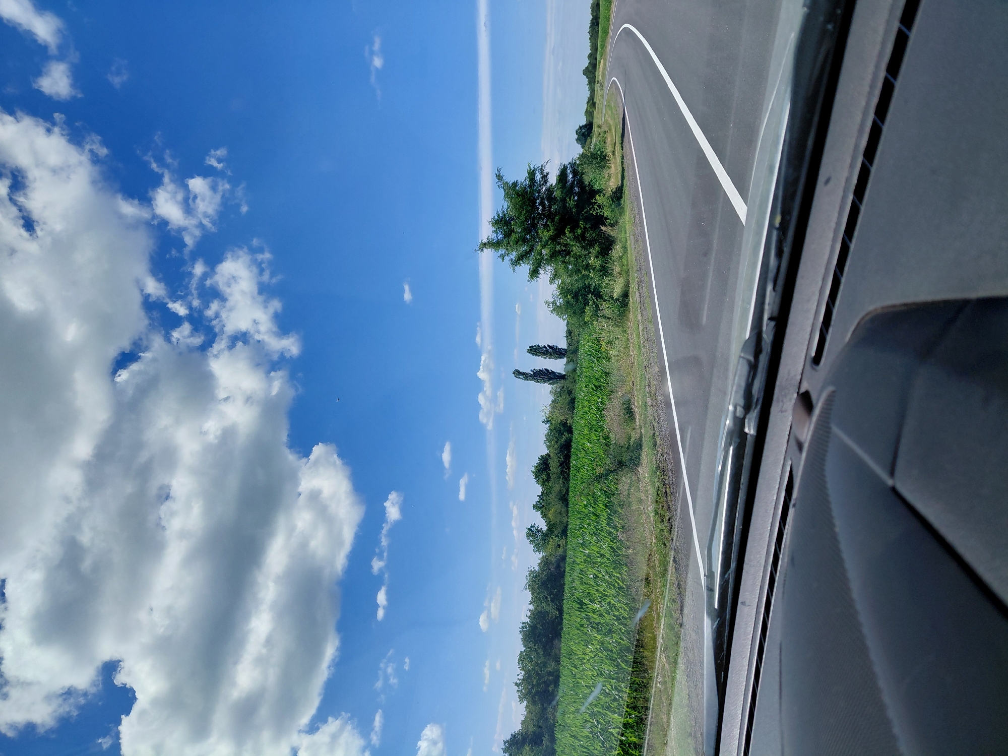 A view from inside a vehicle shows a paved road curving to the right under a bright blue sky filled with white, fluffy clouds. The road has clear white lane markings. To the left of the road is a lush, green cornfield bordered by a line of trees. A lone, mature tree stands on the right side of the road, a short distance from the cornfield. The dashboard and windshield of the vehicle are visible in the foreground. The scene appears to be set in a rural location.